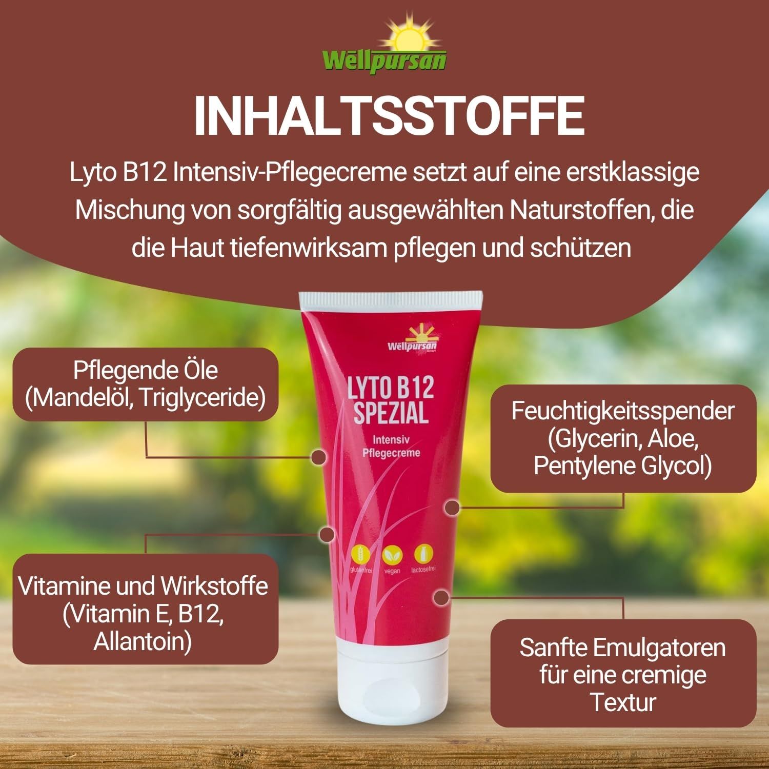 Infografik mit "LYTO B12 SPEZIAL" Tube. Diagramm zeigt Inhaltsstoffe: Öle, Feuchtigkeitsspender, Vitamine, Emulgatoren. Text in deutscher Sprache.