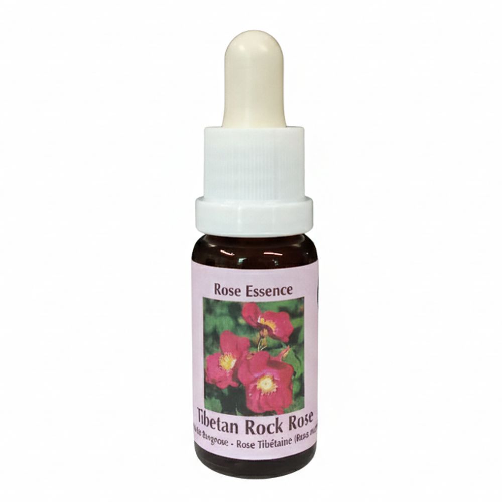 PHI Essences - Tibetanische Bergrosen Essenz