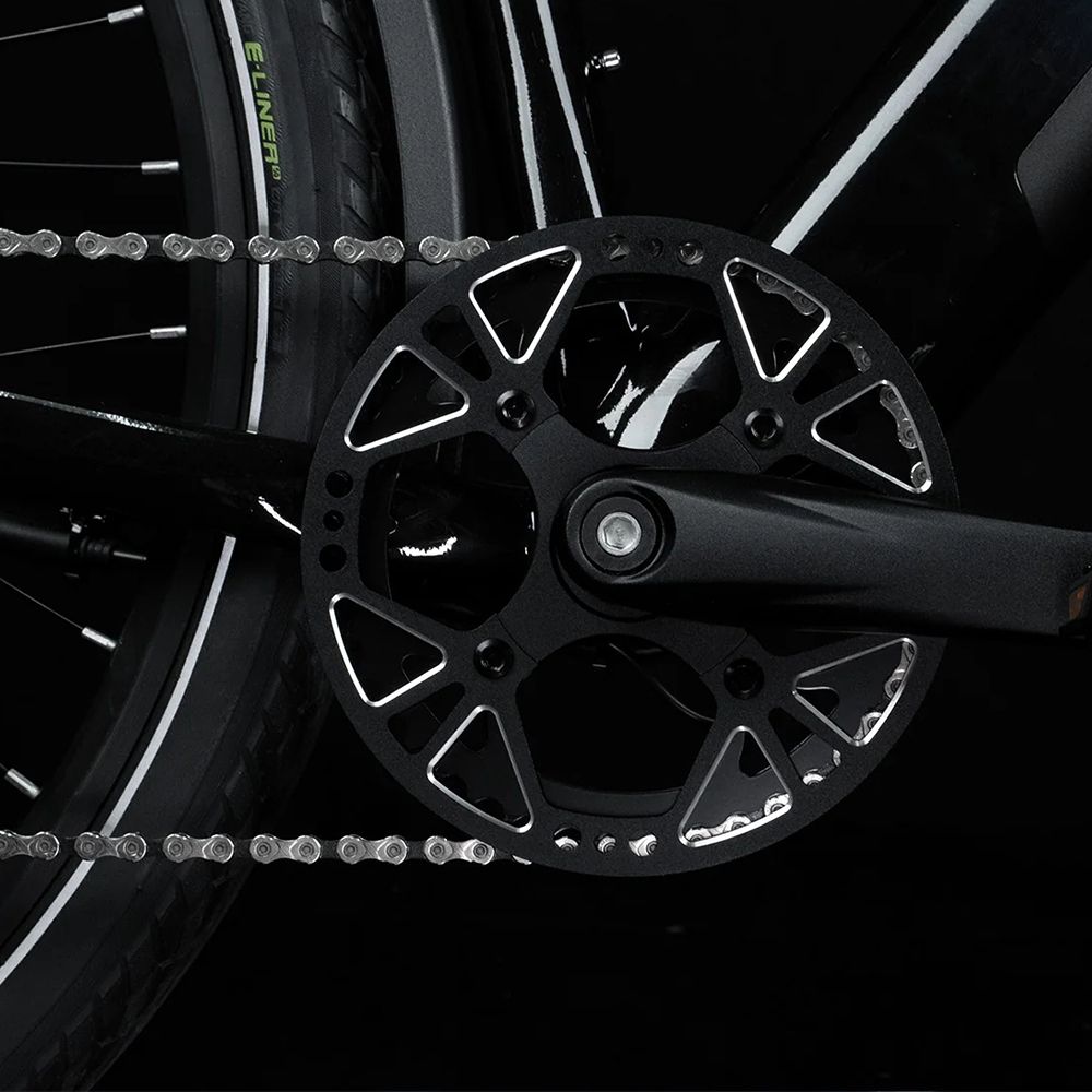 Nahaufnahme der Kurbelgarnitur eines schwarzen E-Bikes. Schwarze Kette und Kettenblatt mit Zähnen.