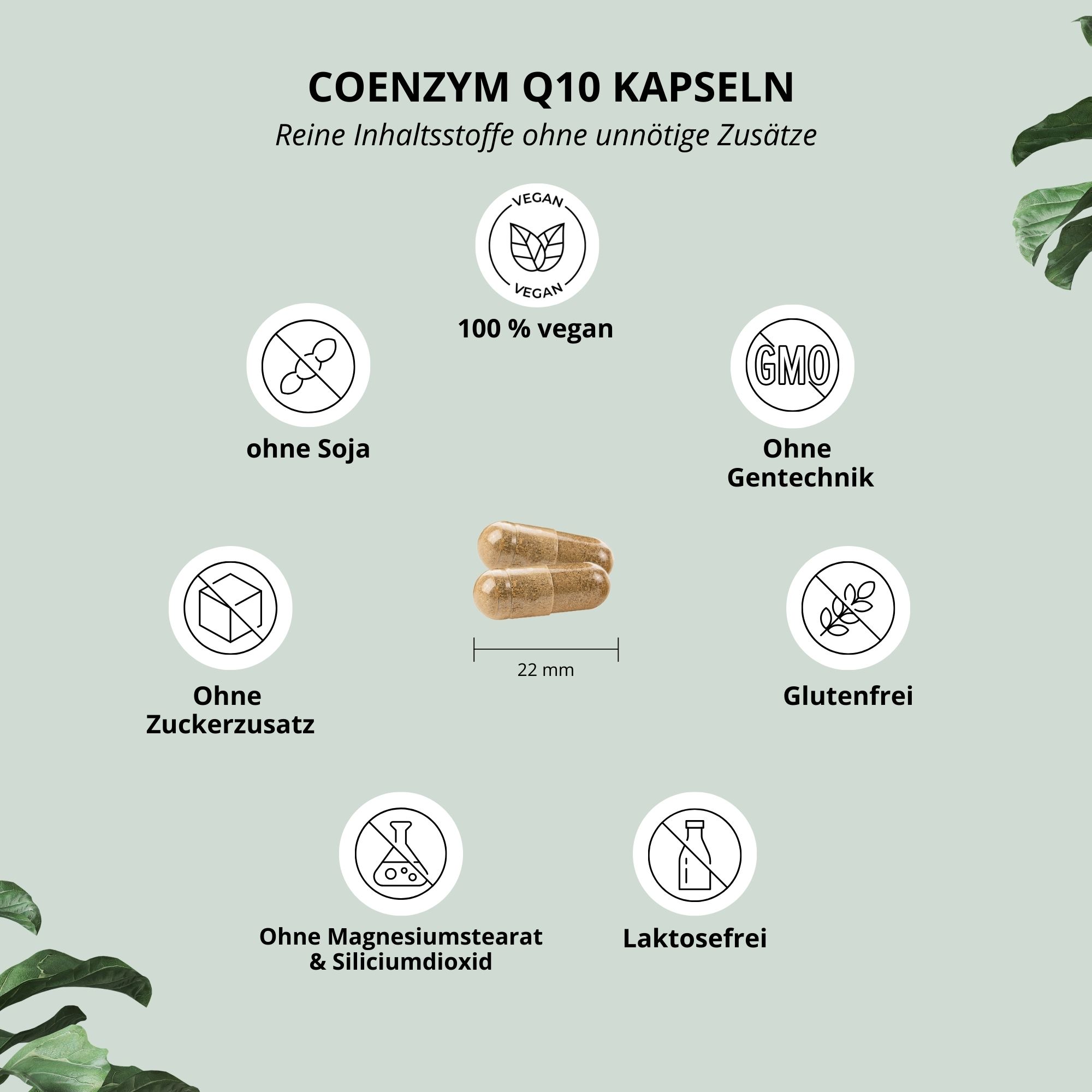 Nutri+ Coenzym Q10 Kapseln 100 mg Ubichinon 120 St Pulver