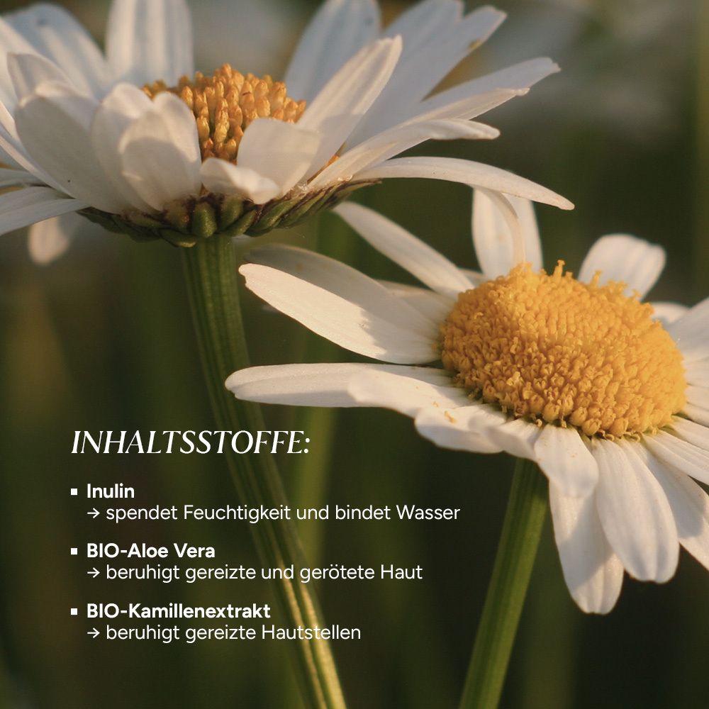 Nahaufnahme von Gänseblümchen. Text: Inhaltsstoffe: Inulin, Bio-Aloe Vera, Bio-Kamillenextrakt.