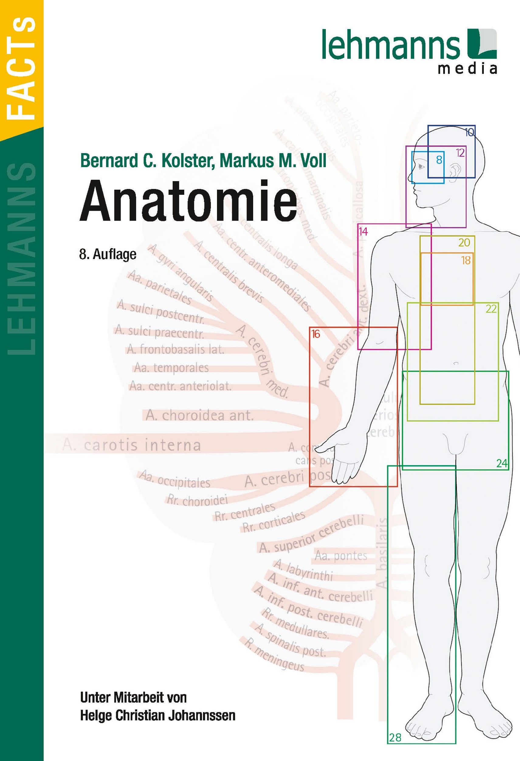 Buchcover mit dem Titel Anatomie. Autoren: Bernard C. Kolster, Markus M. Voll. 8. Auflage. Verlag: Lehmanns media.