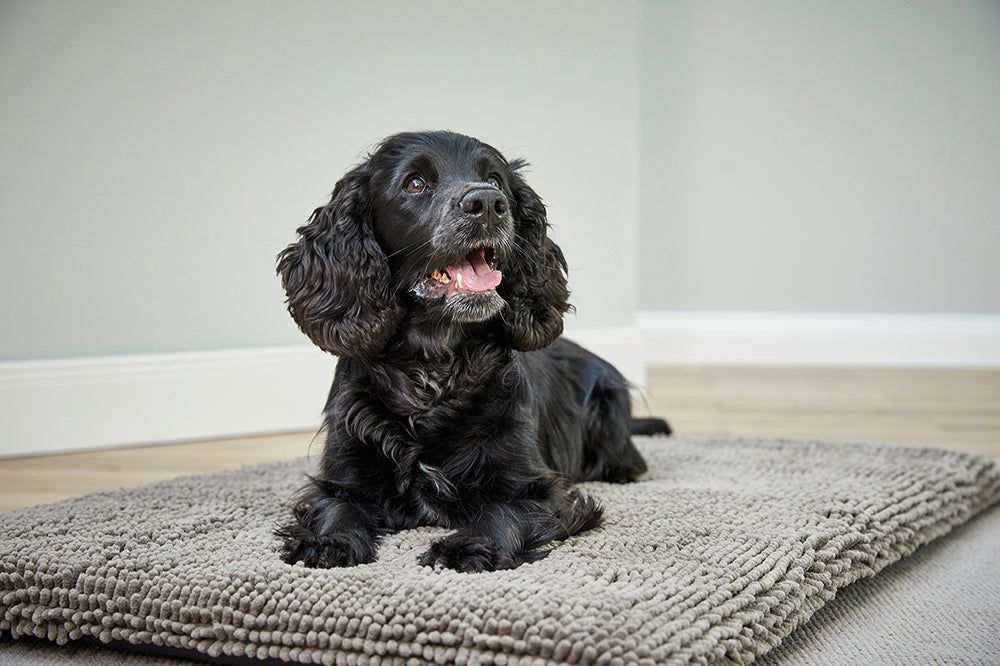 Schwarzer Hund liegt auf einem grauen, rechteckigen Pad. Der Hund schaut nach oben. Wolters Cleankeeper Reise Pad.