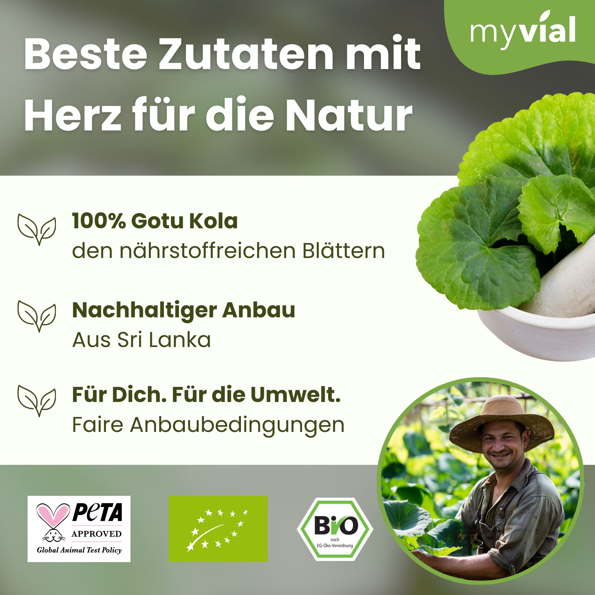 myvial® Bio Gotu Kola Pulver - 100 g Centella asiatica (Tigergras, Brahmi) aus Sri Lanka