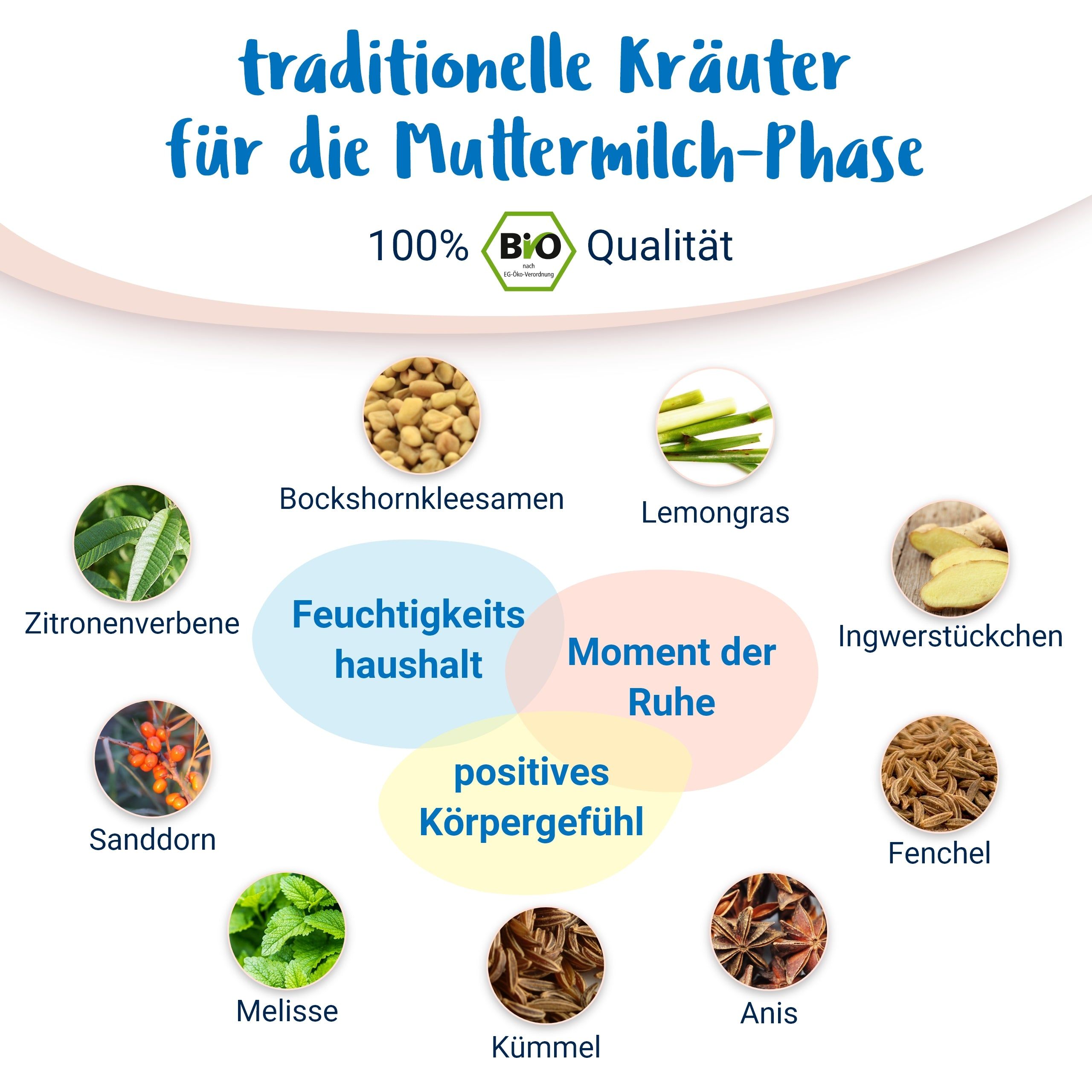 Glückliche Stillzeit BIO Schwangerschaftstee mit Bockshornklee - von PregniVital® 80 g Tee