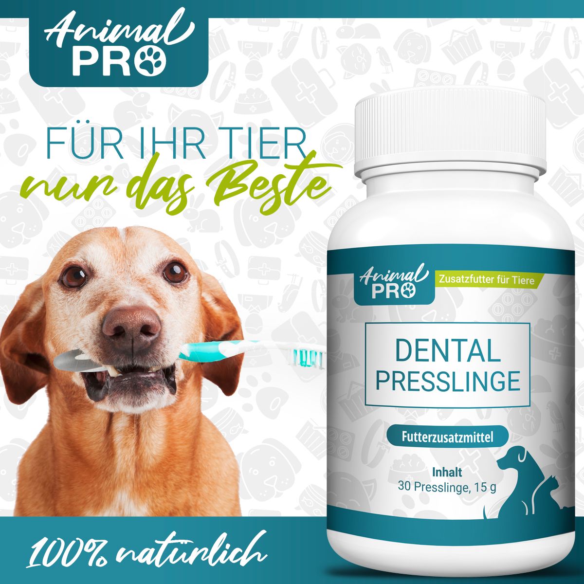 Hund mit Zahnbürste. Flasche "Animal Pro Dental Presslinge". Text: "Für Ihr Tier nur das Beste" und "100% natürlich".