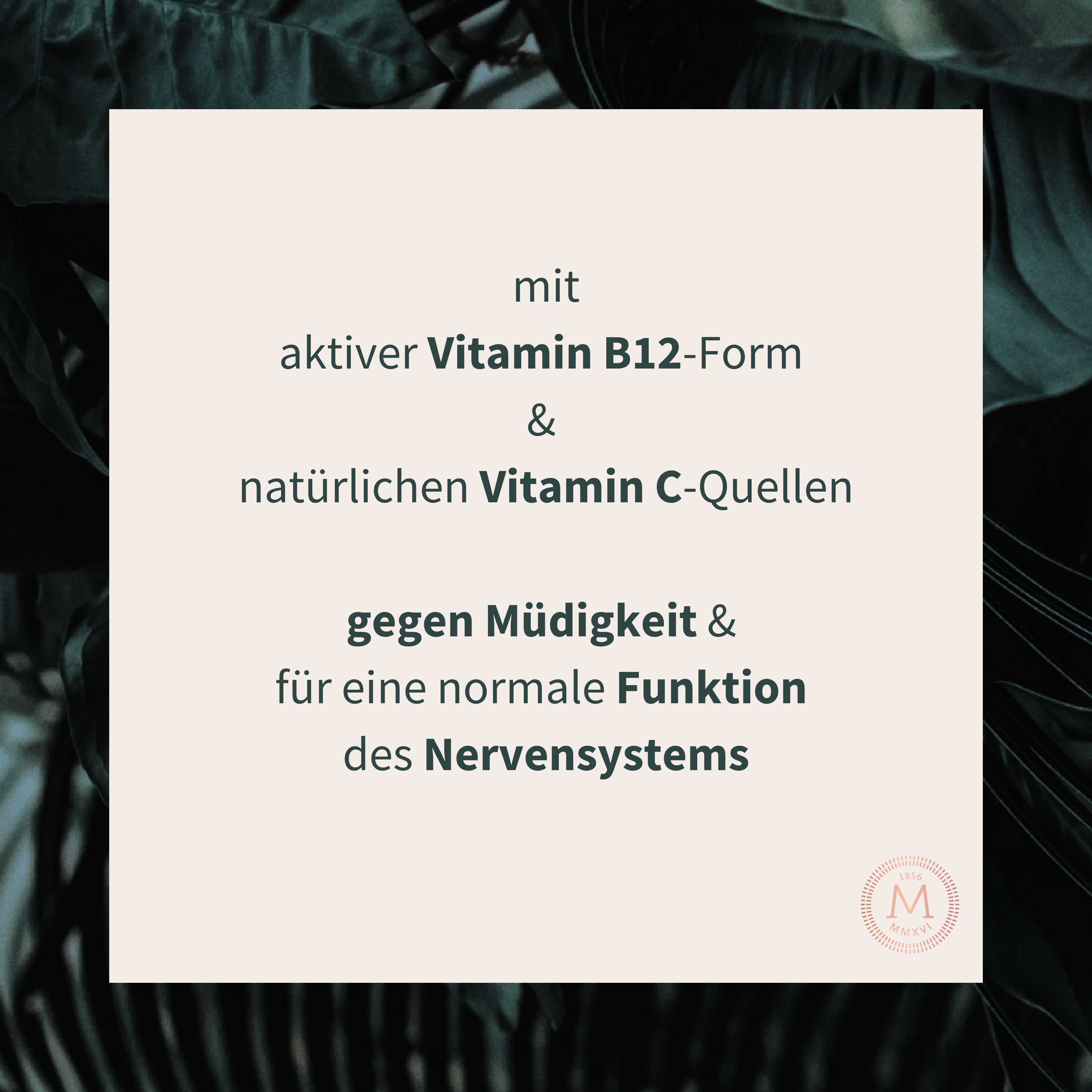 Text auf beigem Hintergrund: mit aktiver Vitamin B12-Form & natürlichen Vitamin C-Quellen gegen Müdigkeit & für normale Funktion des Nervensystems.