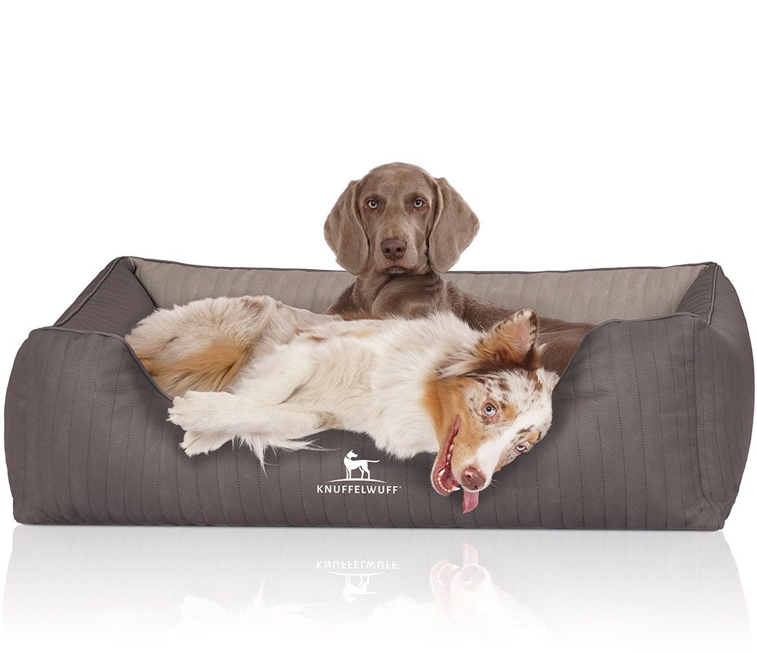 Hundebett mit zwei Hunden. Braun, rechteckig, mit Logo. Ein Hund liegt, einer sitzt.