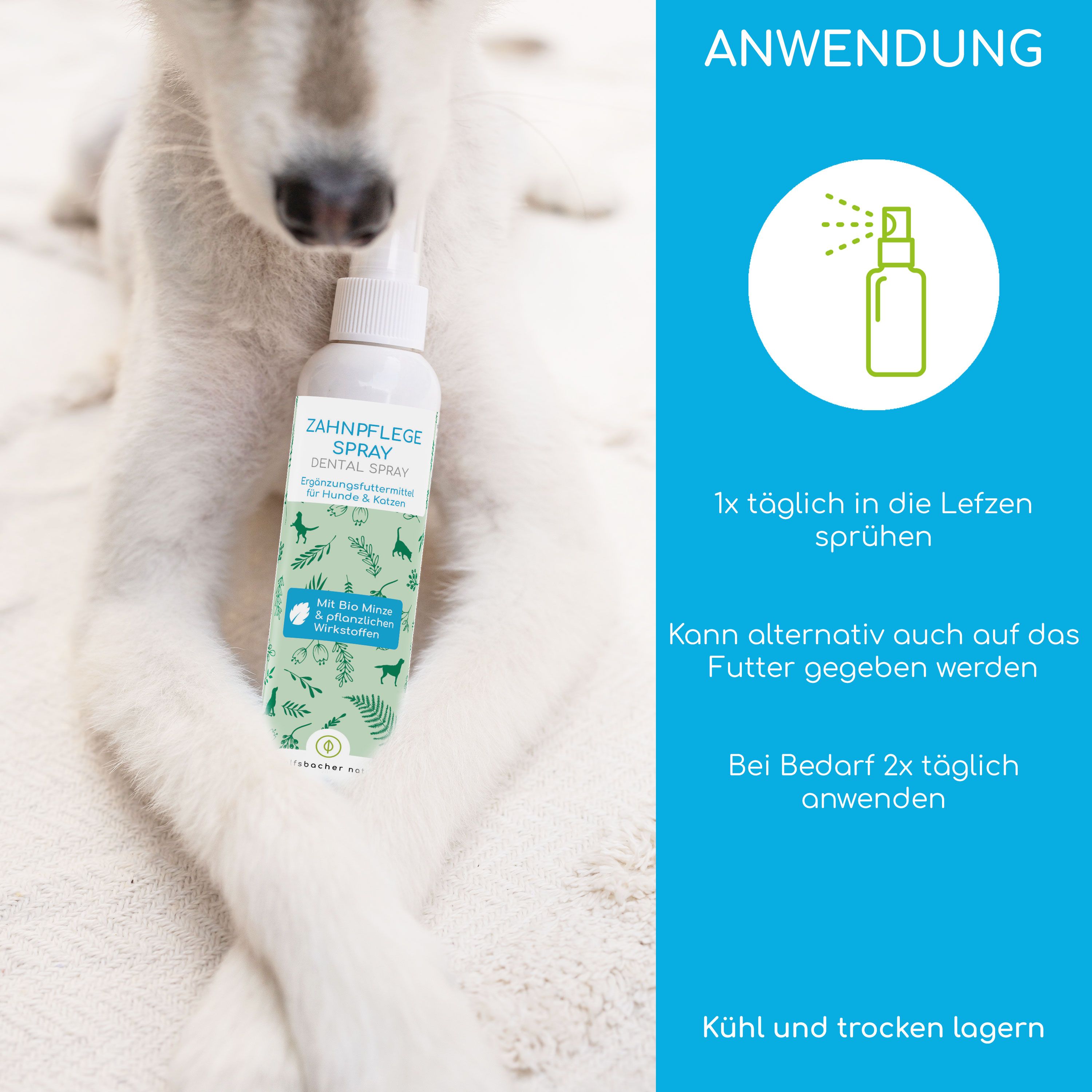 Hund mit Flasche 'Zahnpflege Spray'. Text: '1x täglich in die Lefzen sprühen'. 'Kann alternativ auch auf das Futter gegeben werden'.