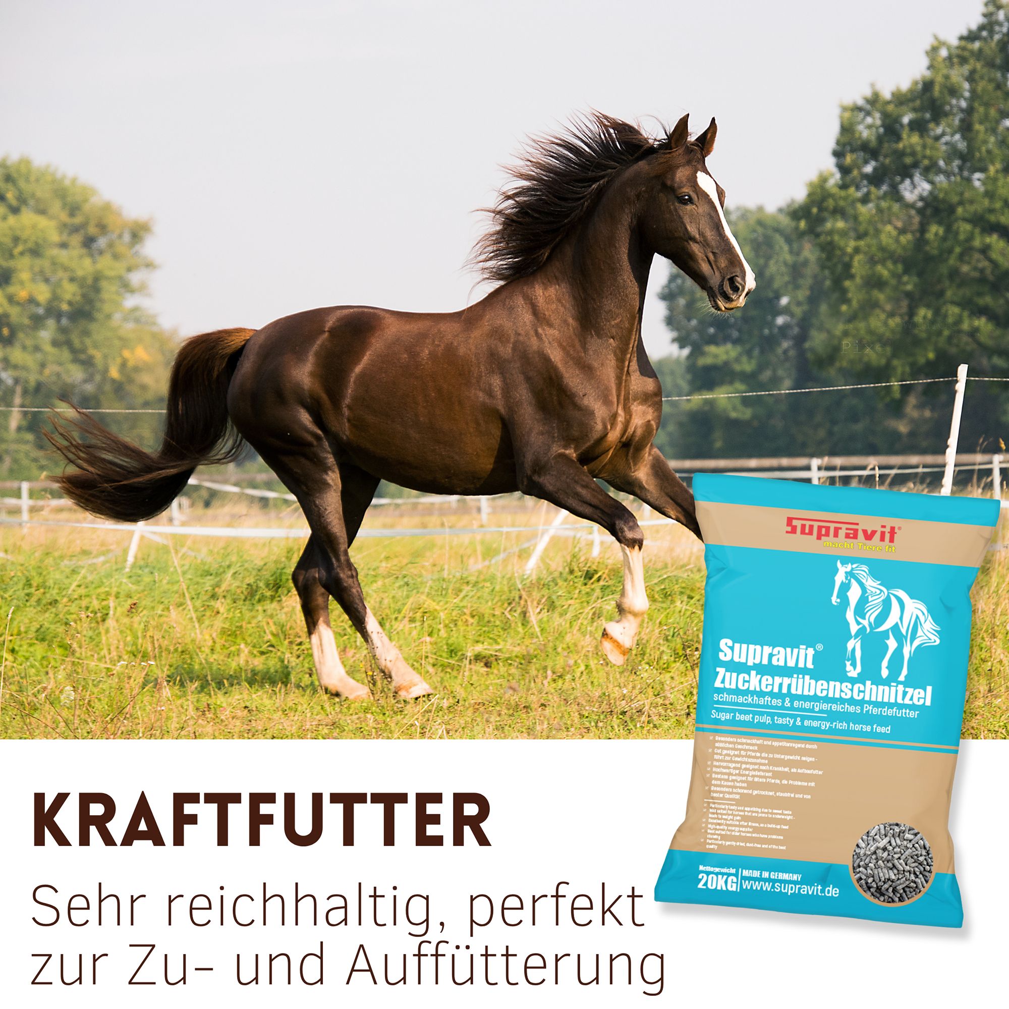 Braunes Pferd galoppiert neben einer Futtersack. Aufschrift: Supravit Zuckerrübenschnitzel. Text: Kraftfutter, sehr reichhaltig, perfekt zur Zu- und Auffütterung.