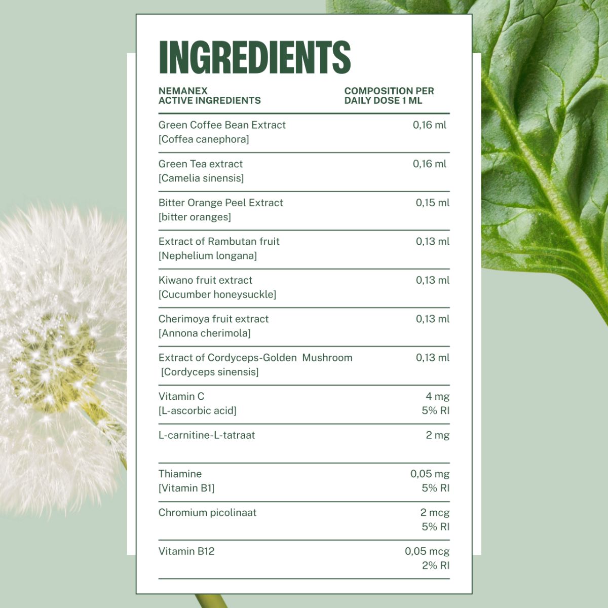 Nemanex Inhaltsstoffe: Liste der aktiven Inhaltsstoffe wie Grünkaffee-Extrakt, Grüntee-Extrakt und Vitamine.