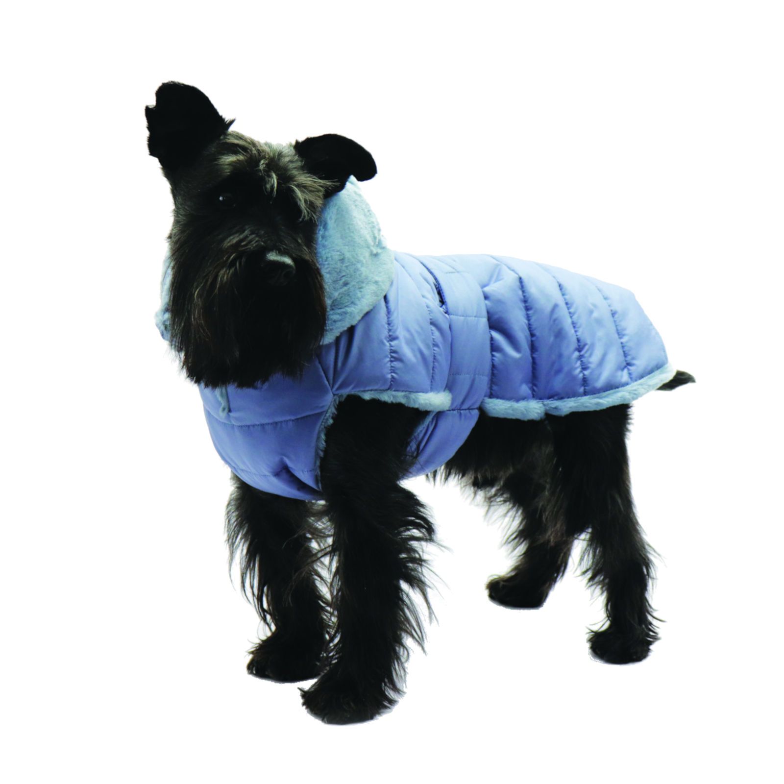 Fashion Dog Hunde-Steppmantel mit Kunstpelz-Futter - Azzurro - 30 cm