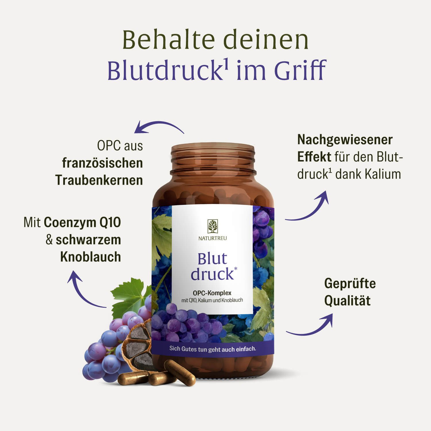 NATURTREU Blutdruck OPC-Komplex Dose mit Traubenmotiv. Pfeile zeigen auf Inhaltsstoffe: OPC, Q10, Kalium, Knoblauch. Geprüfte Qualität.