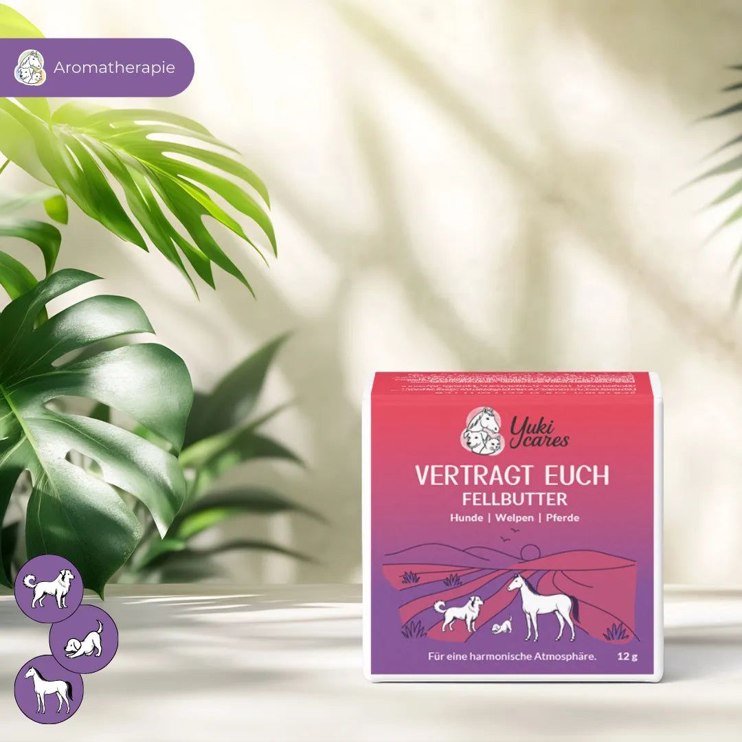 Yuki cares Fellbutter Vertragt euch