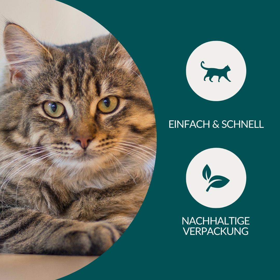 Giardientest für Katzen: Einfach & schnell, nachhaltige Verpackung, mit Icons und Bild einer Katze.