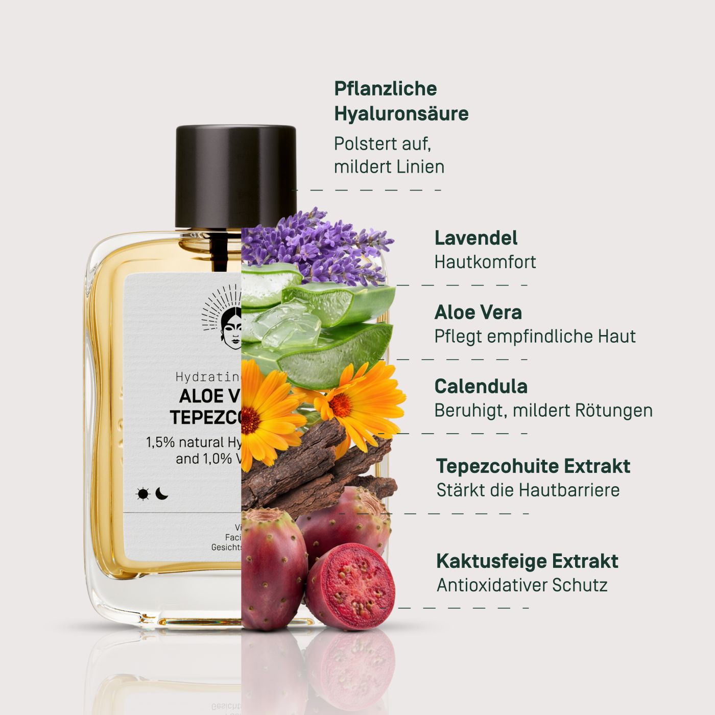 Viva Maia Hydrating Toner mit Darstellung pflanzlicher Inhaltsstoffe wie Aloe Vera und Lavendel.