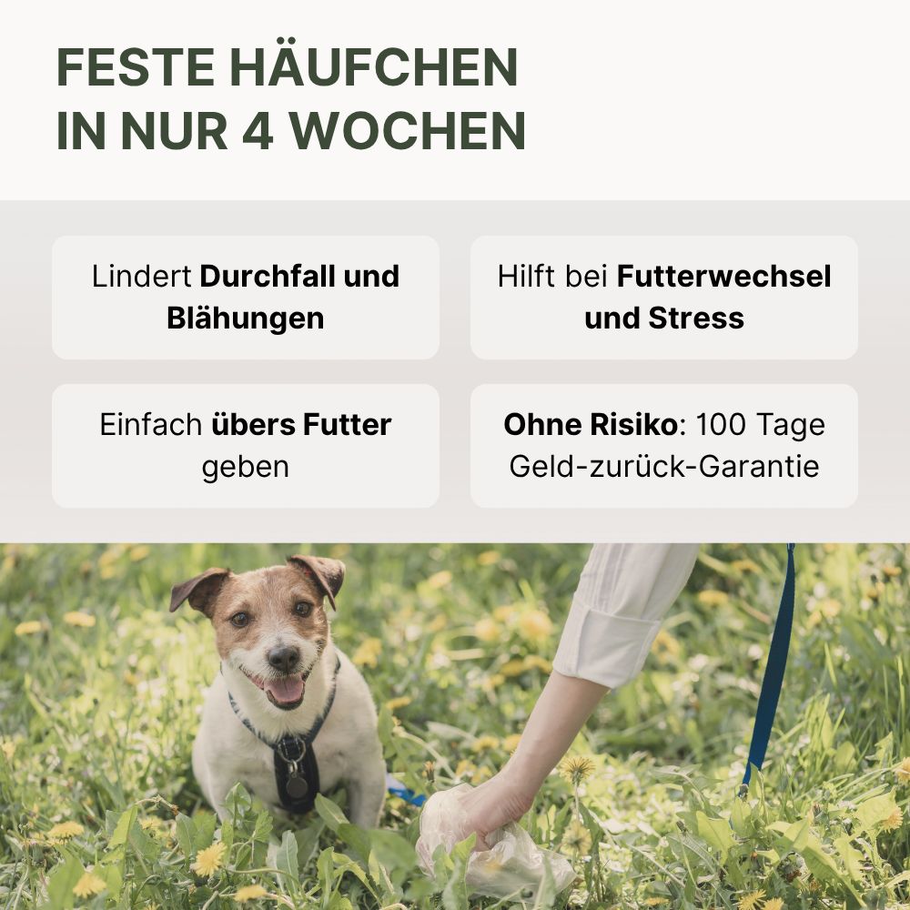 Hund im Gras, Person hält Kotbeutel. Text: Lindert Durchfall und Blähungen, Hilft bei Futterwechsel und Stress.