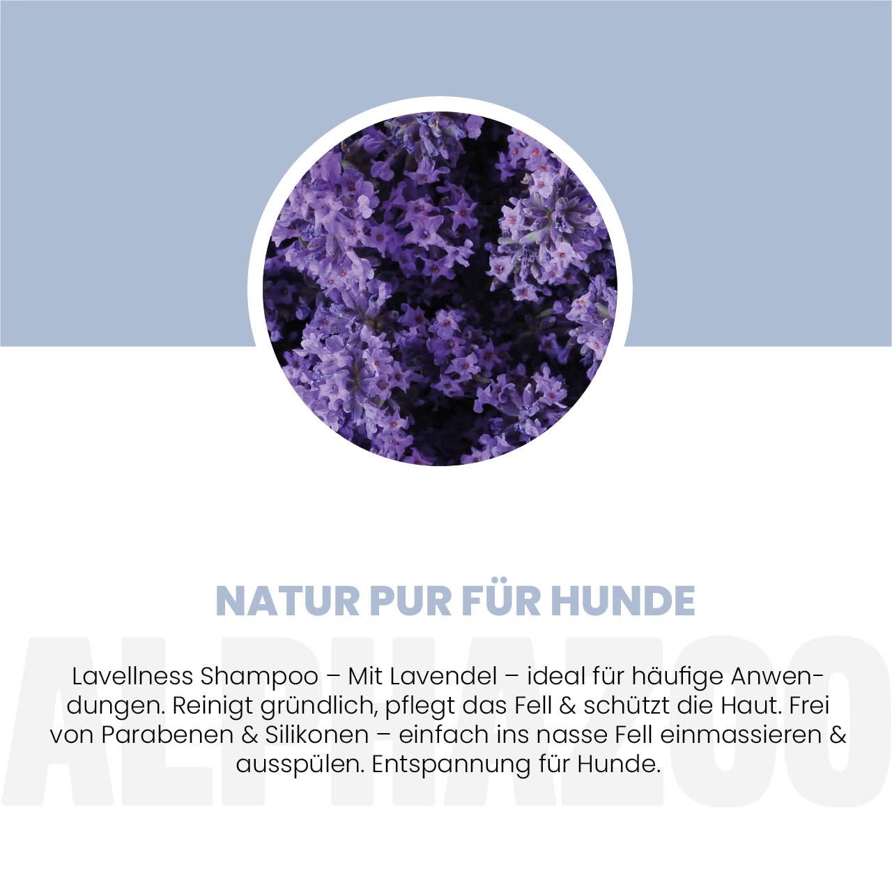 alphazoo Lavellness Shampoo für Hunde – mit Lavendel-Duft
