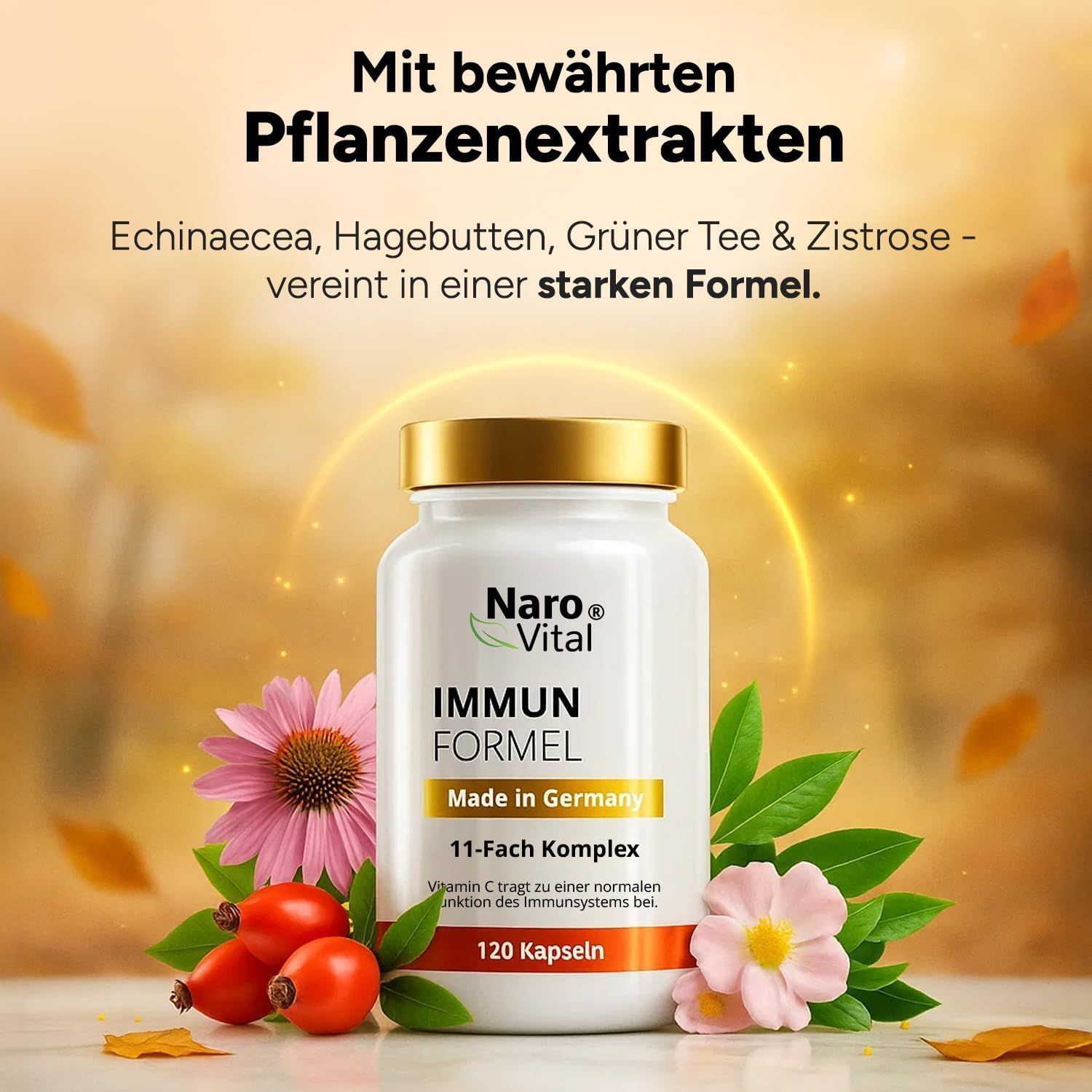 NaroVital:  Immun Formel 11-Fach Immun Komplex - Immunsystem Stärken Erwachsene - Echinacea Kapseln