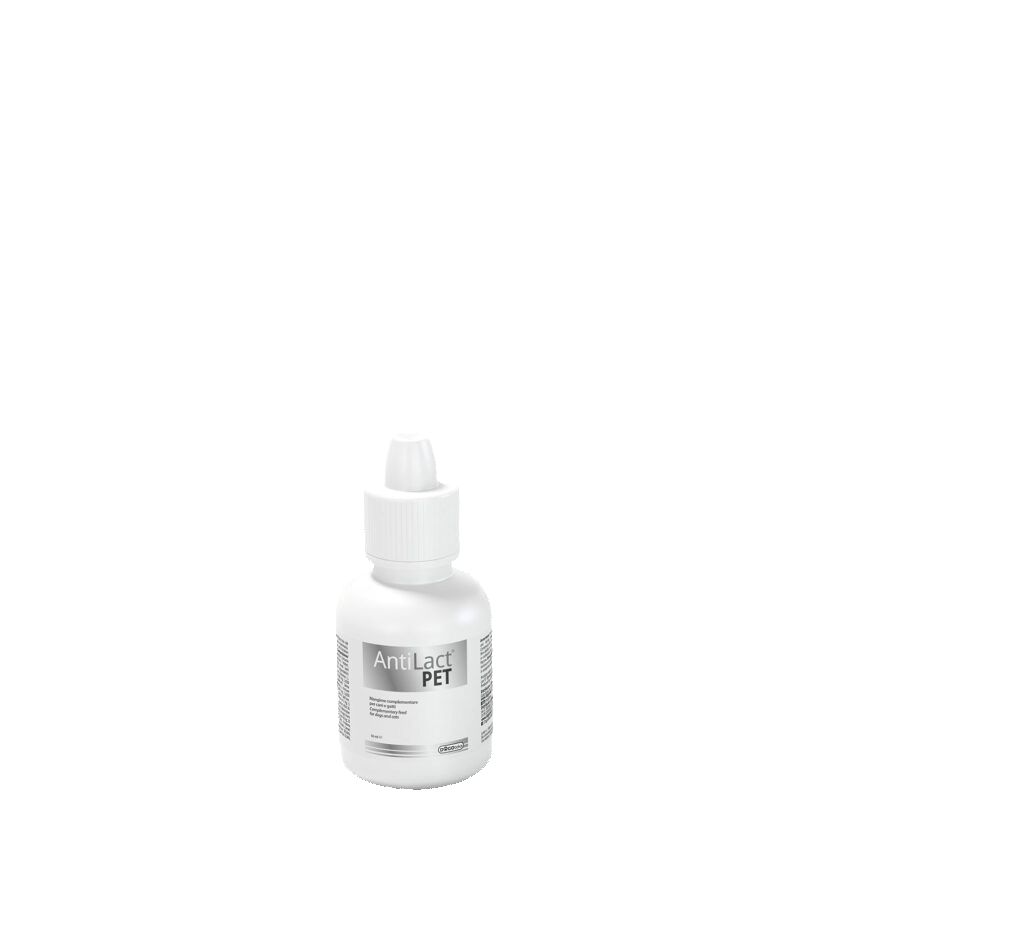 Weiße Flasche mit Tropfer. Aufschrift "Anti Lact PET".