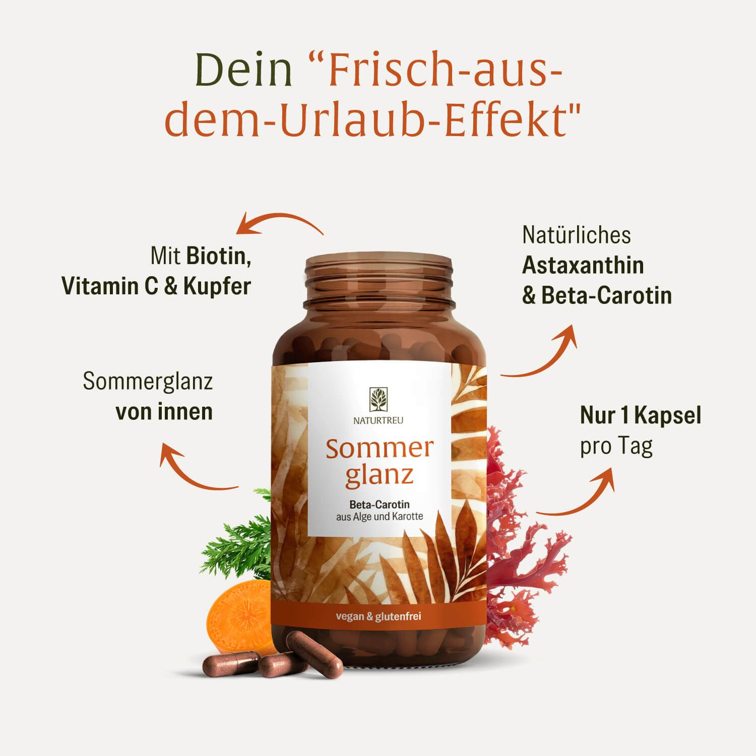 NATURTREU Sommerglanz Dose mit Hinweisen zu Biotin, Vitamin C, Kupfer und Astaxanthin. Enthält 90 vegane Kapseln.