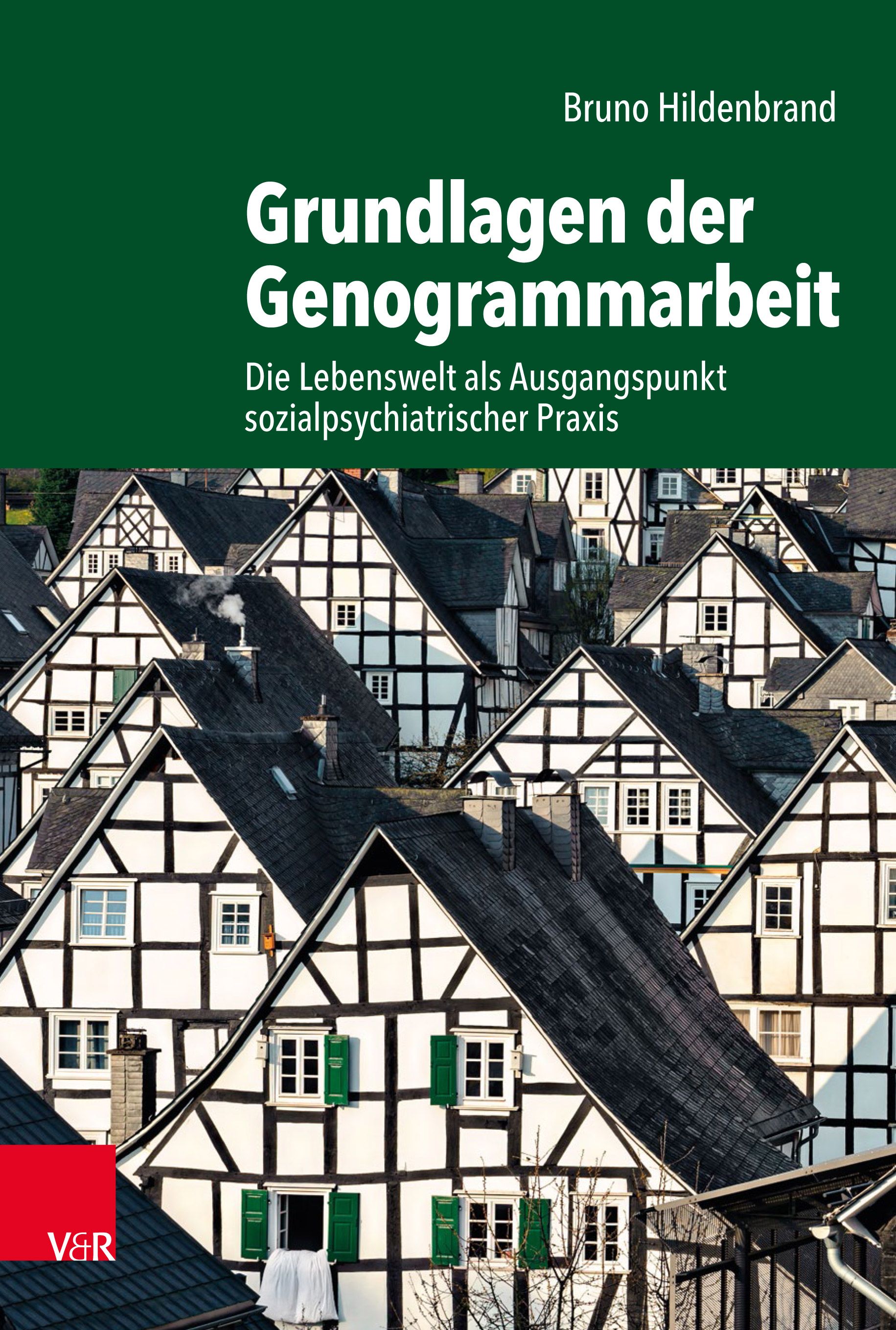 Buchcover: "Grundlagen der Genogrammarbeit". Autor: Bruno Hildenbrand. Verlag V&R. Hintergrund: Fachwerkhäuser.