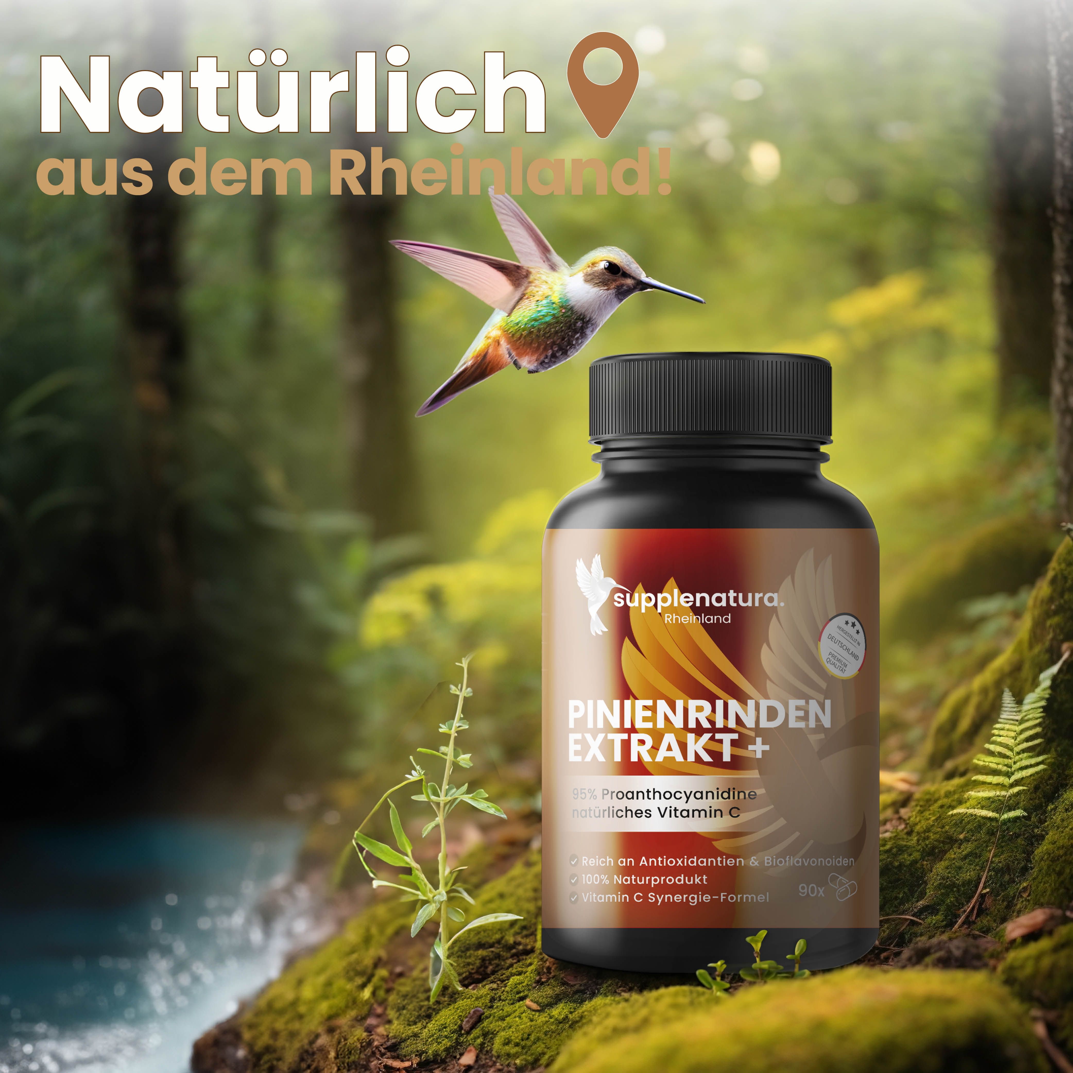 Pinienrindenextrakt 95% OPC + Vitamin C aus Hagebutte