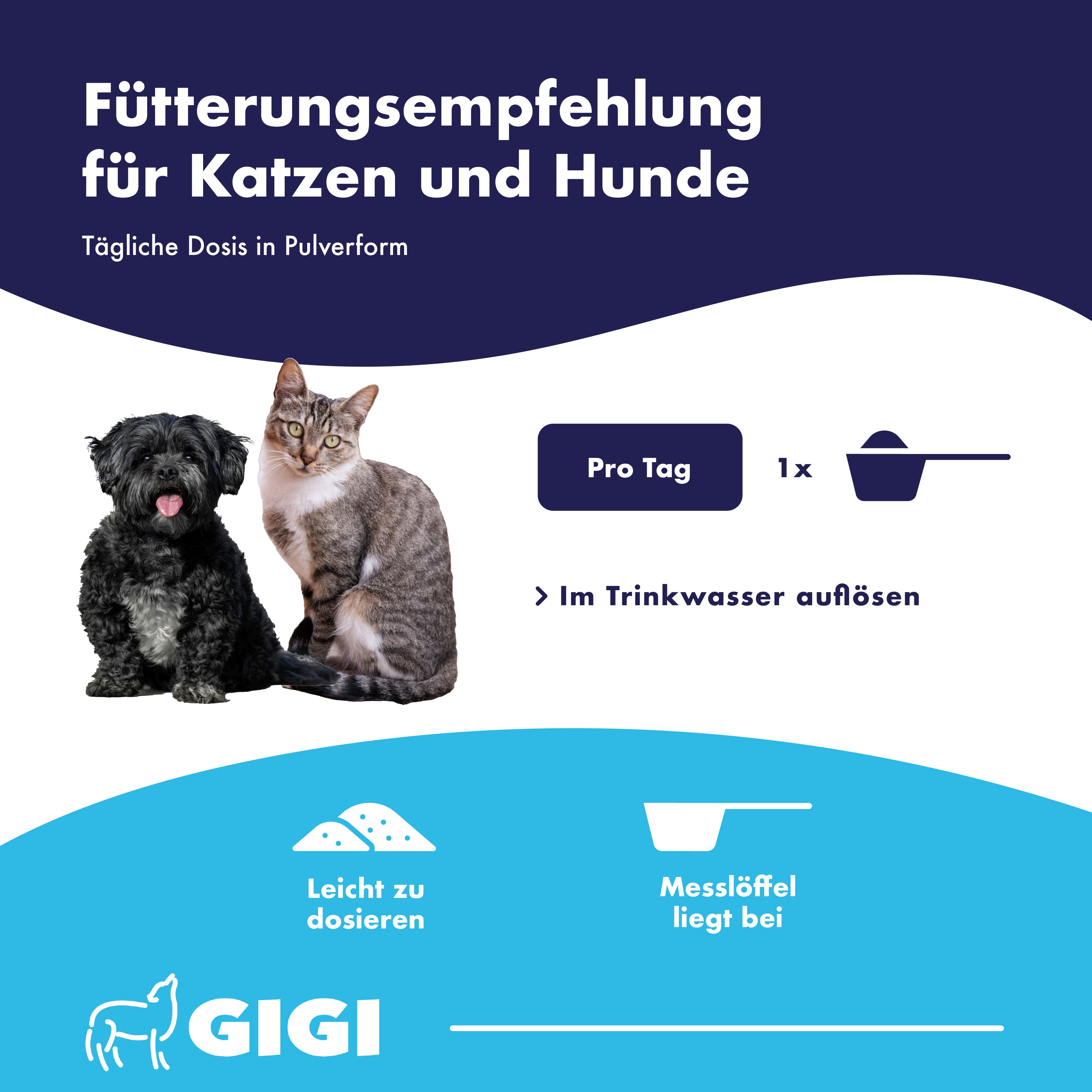 Hund und Katze neben Dosierlöffel mit Pulver. Tägliche Dosis in Pulverform zum Auflösen im Trinkwasser.