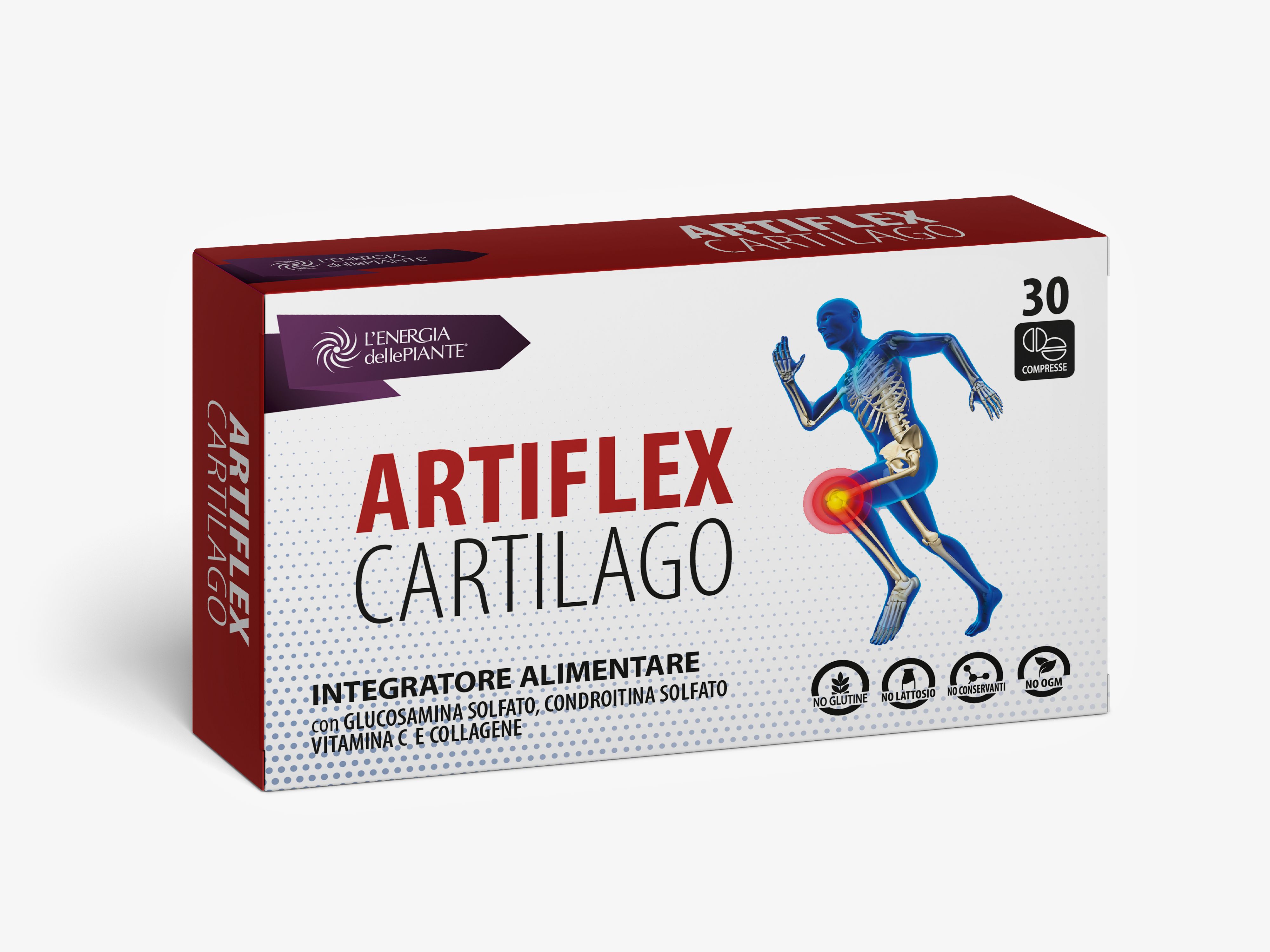 L'Energia delle Piente Artiflex Cartilago
