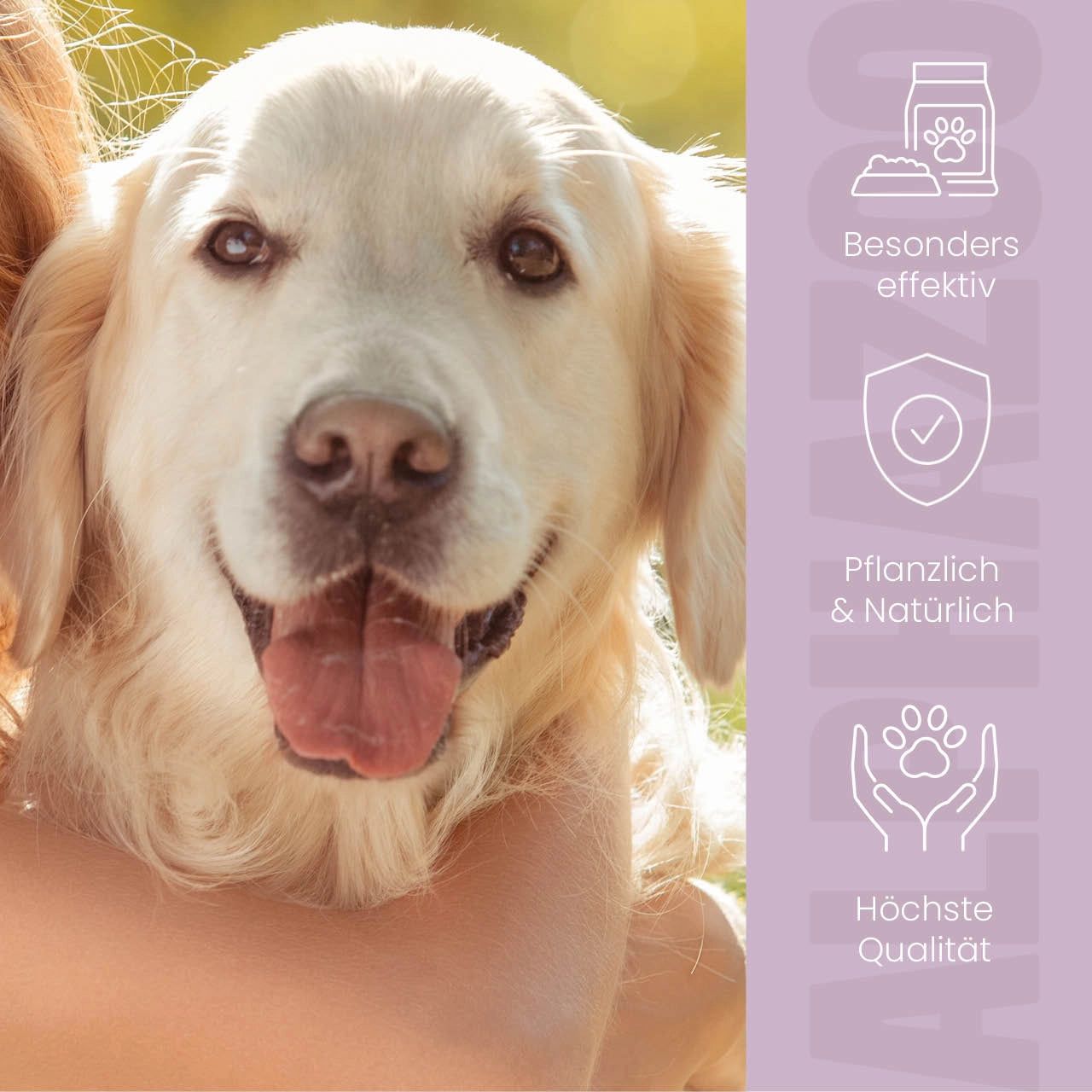 Ein Hund wird von einer Person gehalten. Text: Besonders effektiv, pflanzlich & natürlich, höchste Qualität.