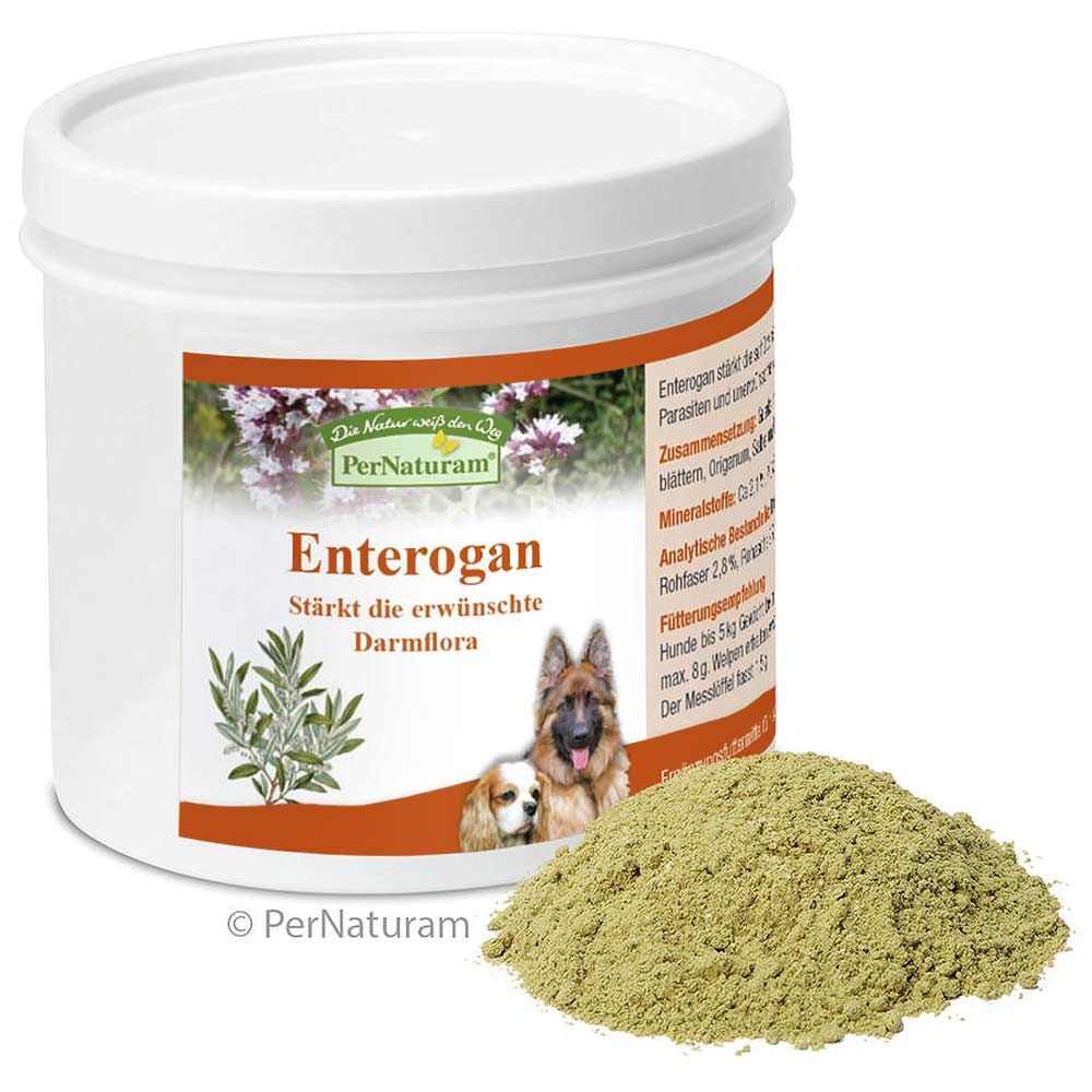 PerNaturam Enterogan