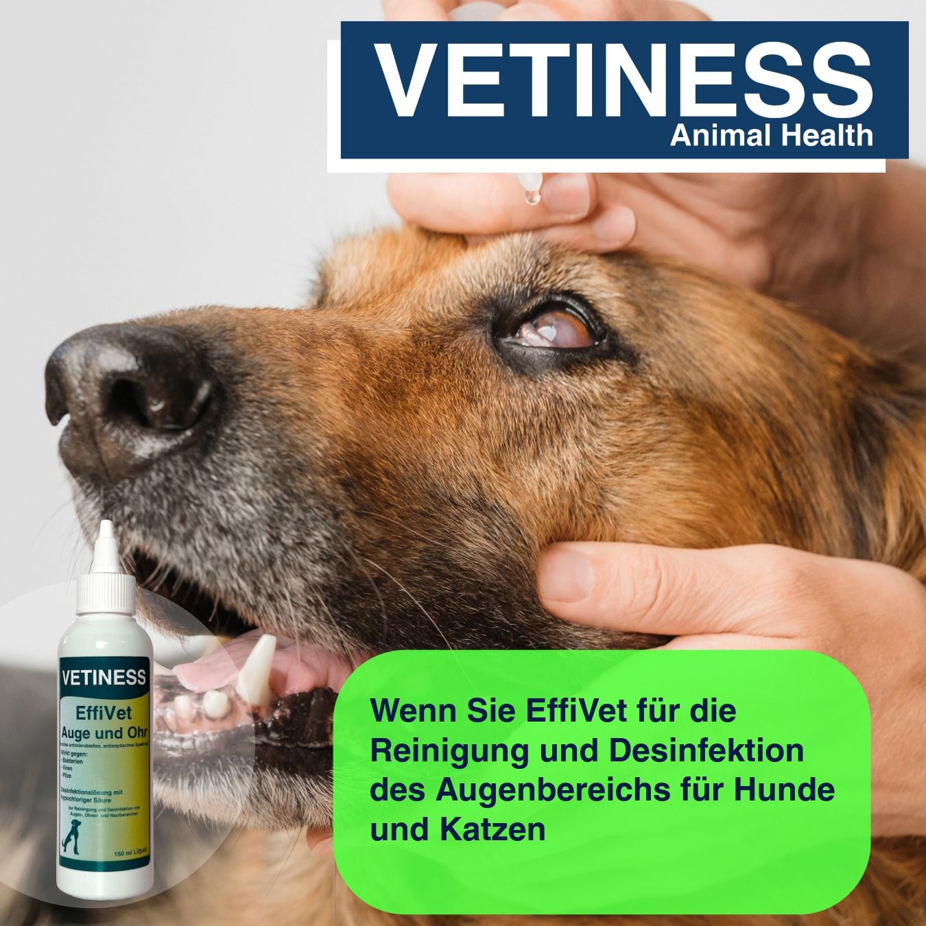 Vetiness EffiVet Augen & Ohr für Hunde und Katzen