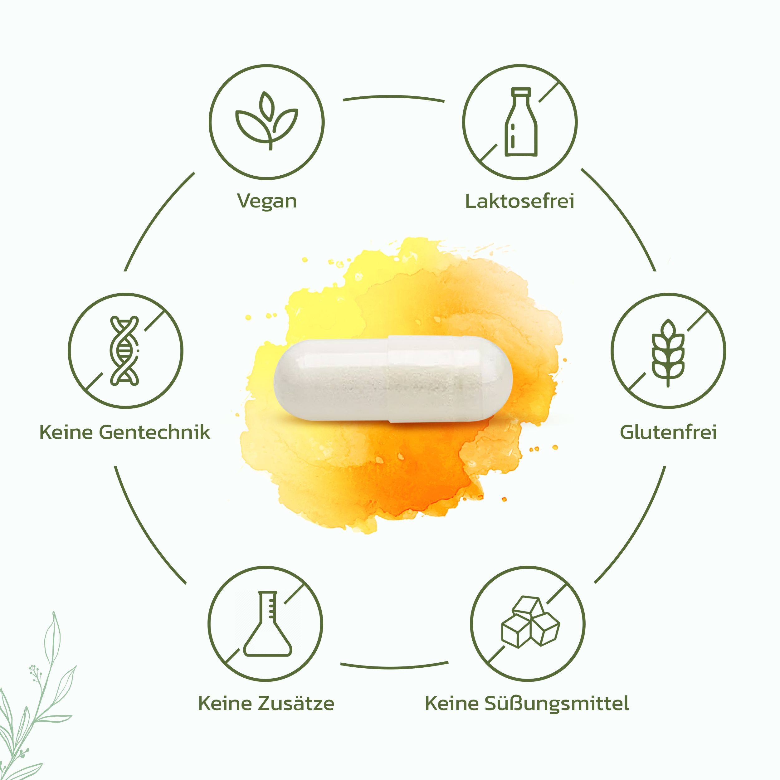 Weiße Kapsel umgeben von Symbolen: Vegan, laktosefrei, glutenfrei, keine Süßungsmittel, keine Zusätze, keine Gentechnik.
