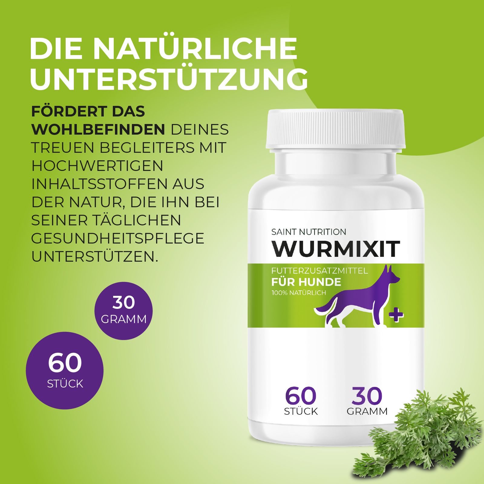 Weiße Flasche mit grünem Etikett. Text: Saint Nutrition Wurmixit, Futterzusatzmittel für Hunde, 60 Stück, 30 Gramm. Lila Hund.