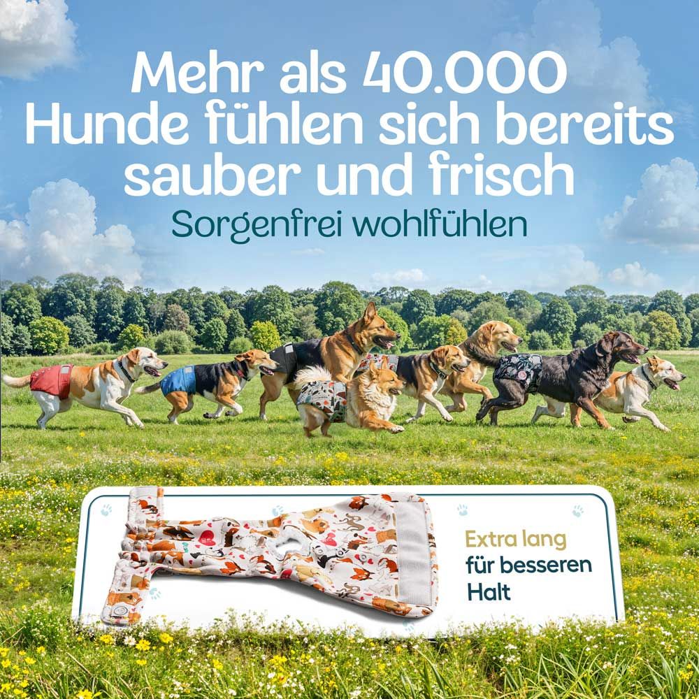 Mehrere Hunde mit Windeln auf einer Wiese. Text: Extra lang für besseren Halt. Größenangaben.