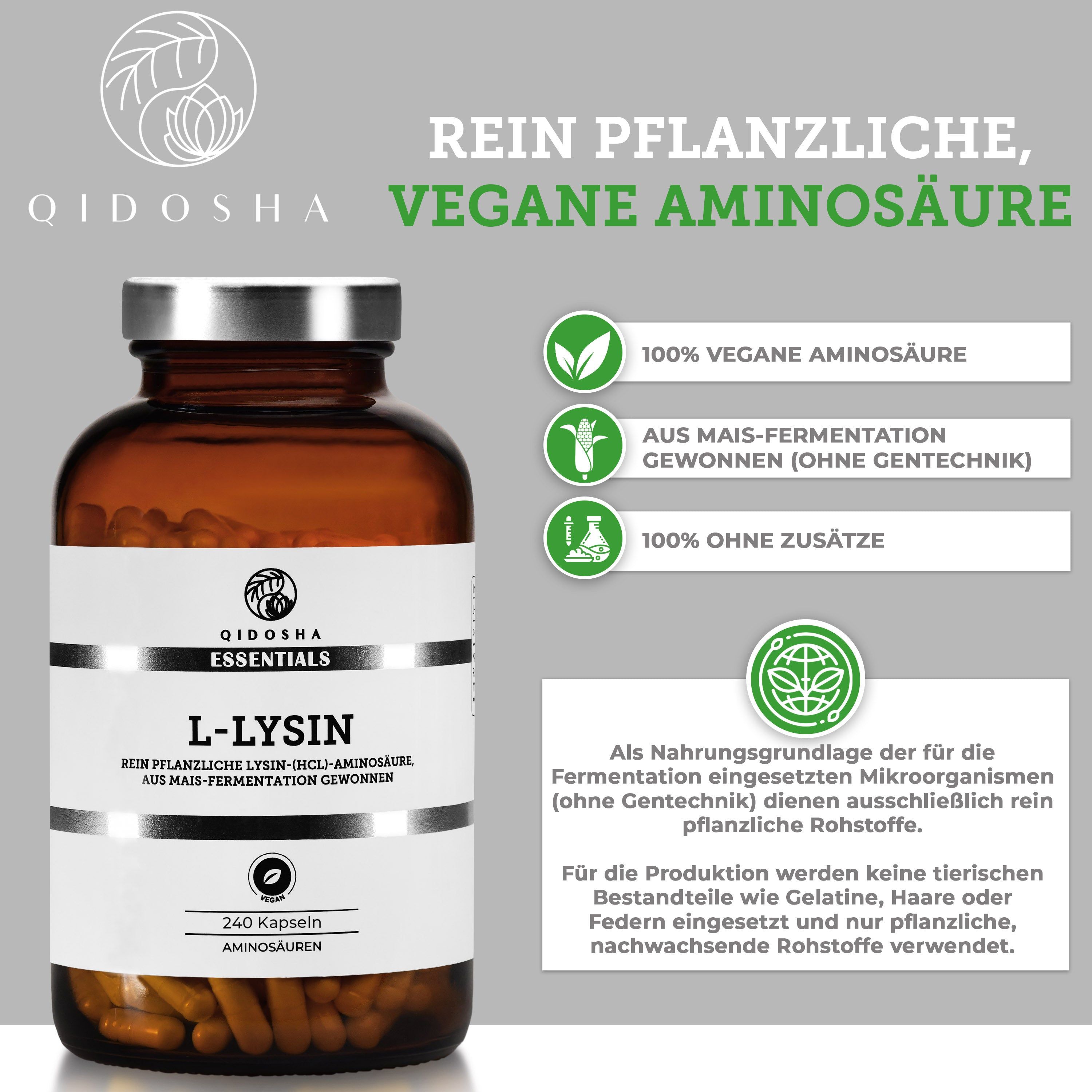 Flasche mit L-Lysin Kapseln, 240 Stück. Informationen zu veganen Aminosäuren aus Mais-Fermentation.