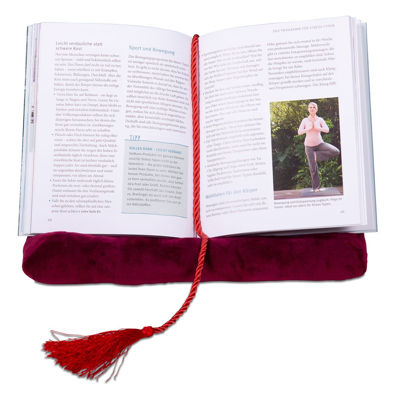 aktivshop Buch-Kissen