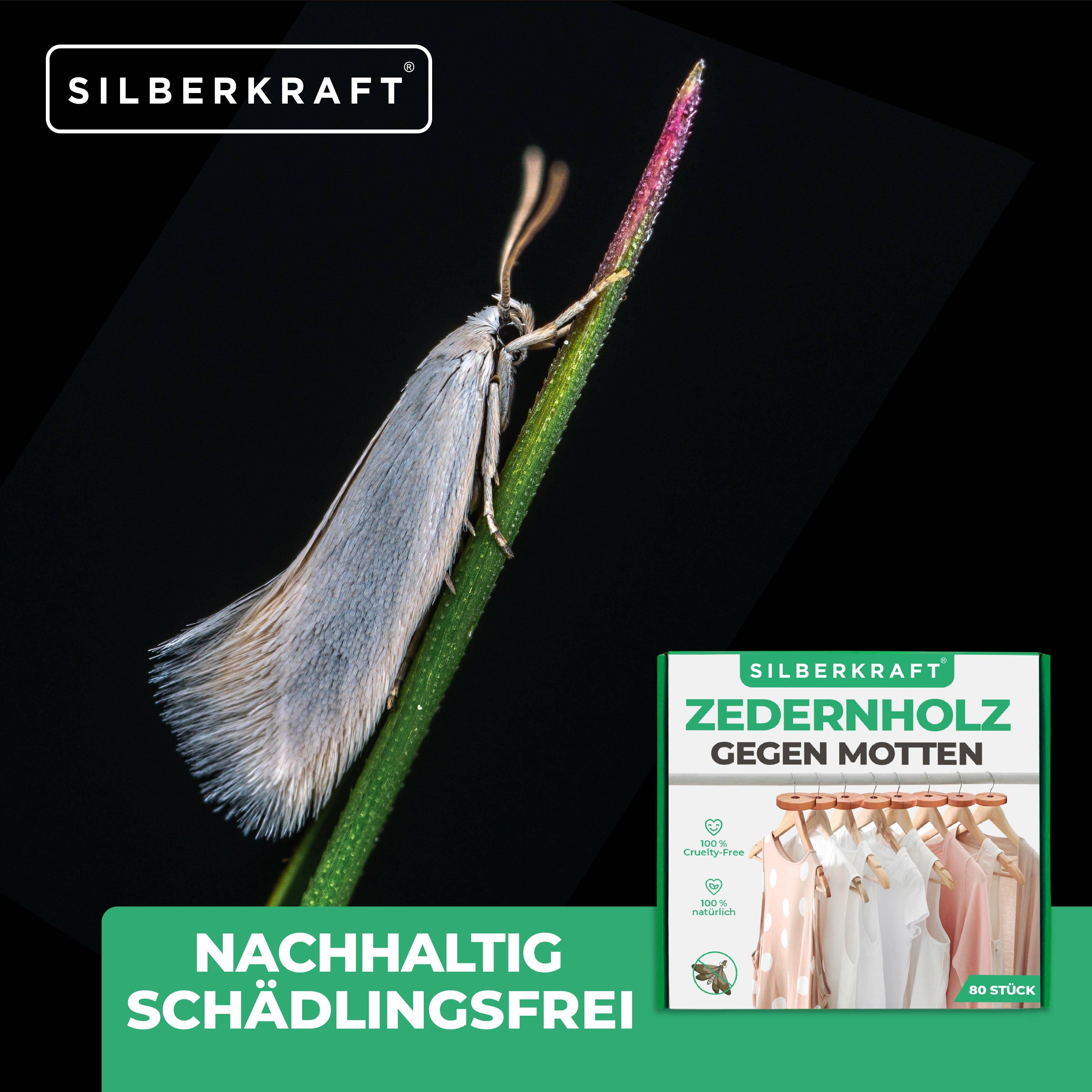SILBERKRAFT Zedernholz Mottenschutz