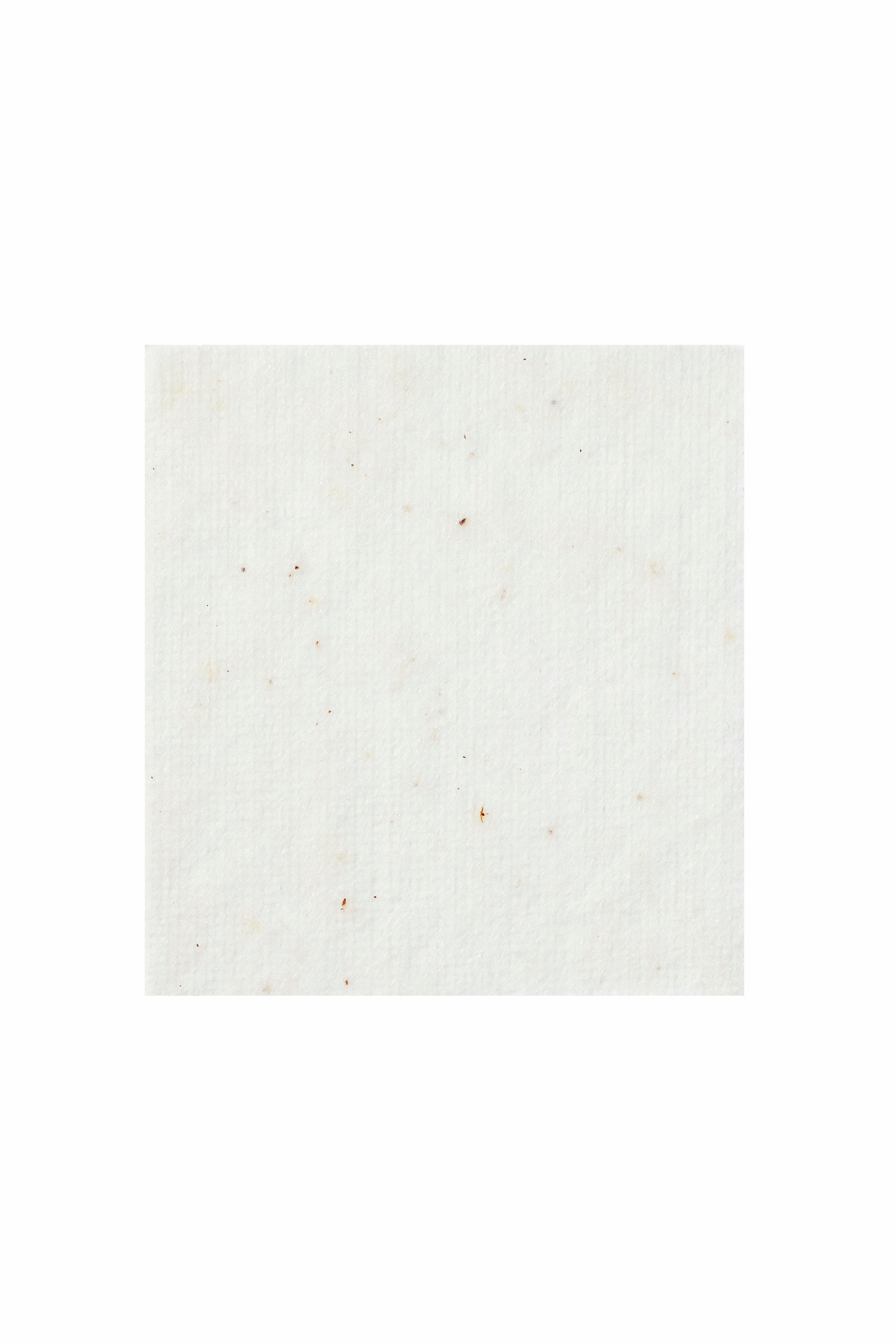Quadratisches, weißes Toner Pad. Sichtbare Textur und kleine braune Punkte. Einzelnes Pad, Nahaufnahme.