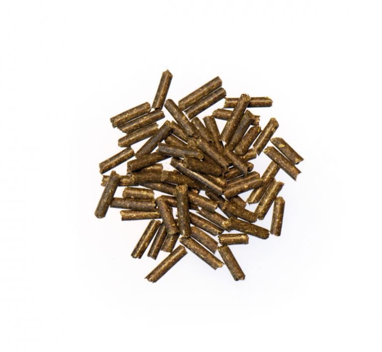Haufen zylindrischer Pellets. Braune Farbe. Auf weißem Hintergrund.