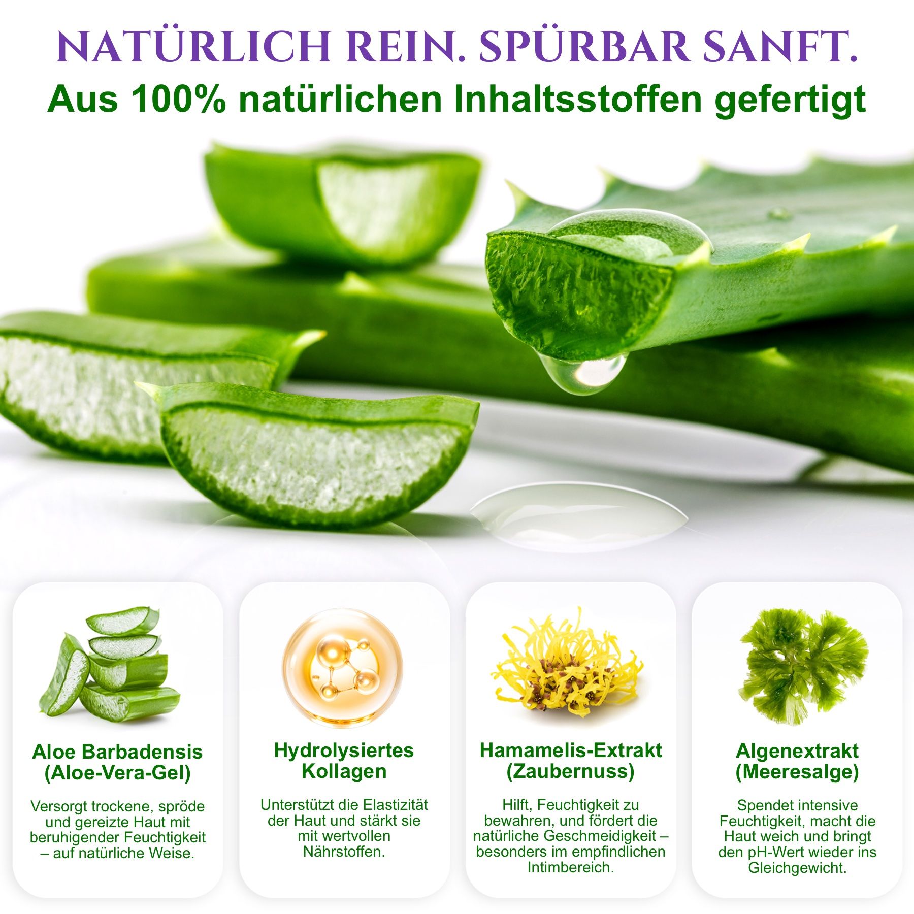 Aloe Vera-Blätter mit Tropfen. Vier Infografiken mit Inhaltsstoffen: Aloe Vera, hydrolysiertes Kollagen, Hamamelis-Extrakt, Algenextrakt.