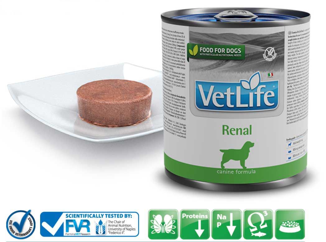Hundefutterdose VetLife Renal neben einem Teller mit Futter. Logo, Text und Hunde-Silhouette auf der Dose. Wissenschaftlich getestet.