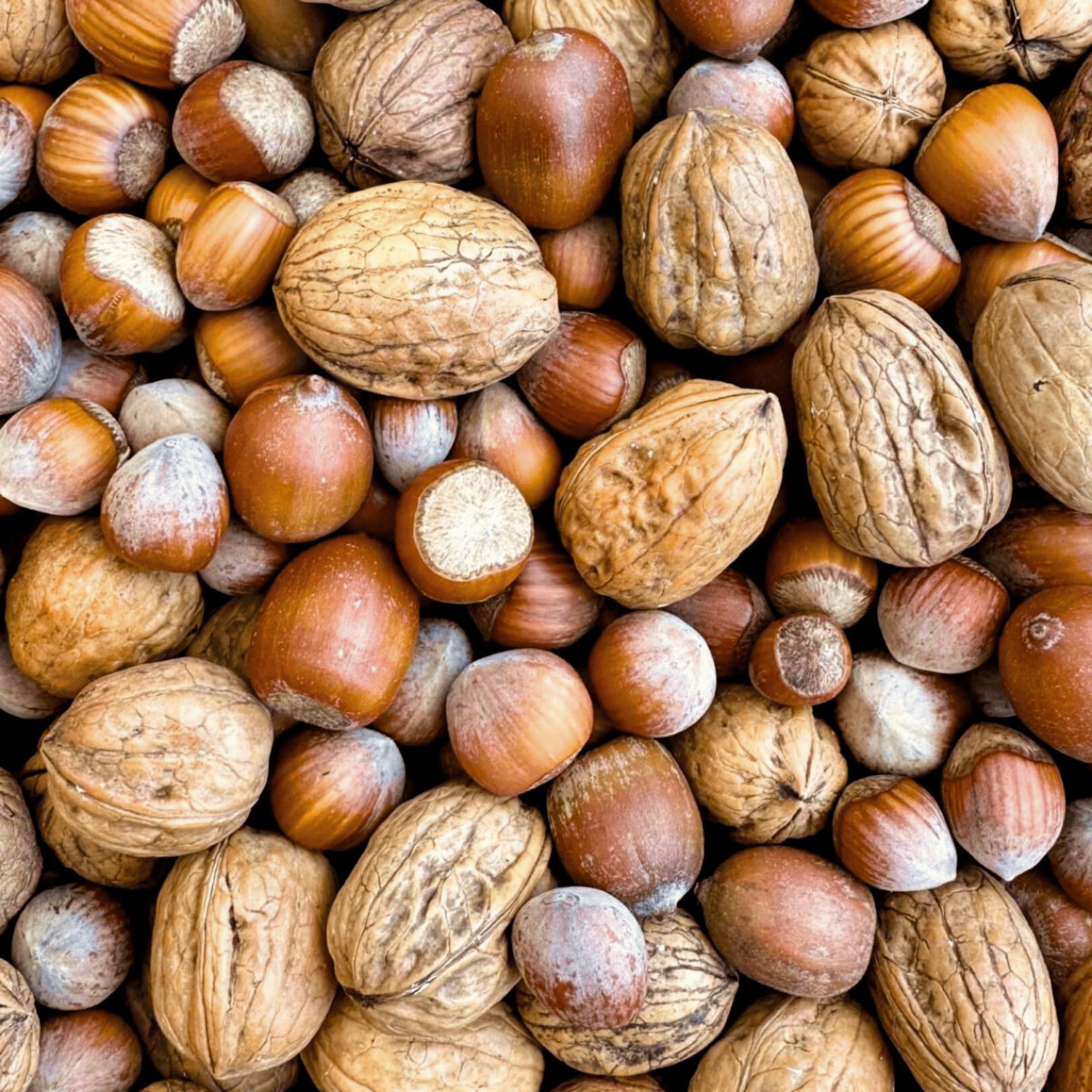 Nahaufnahme von Walnüssen und Haselnüssen. Verschiedene Größen und Formen. Natürliche Farben und Texturen.