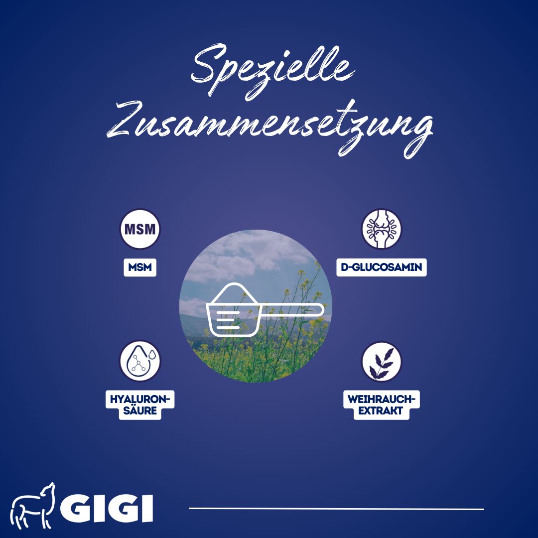Grafik mit Inhaltsstoffen: MSM, D-Glucosamin, Hyaluronsäure, Weihrauch-Extrakt. Bild: Messlöffel mit Pulver. Logo: GIGI.