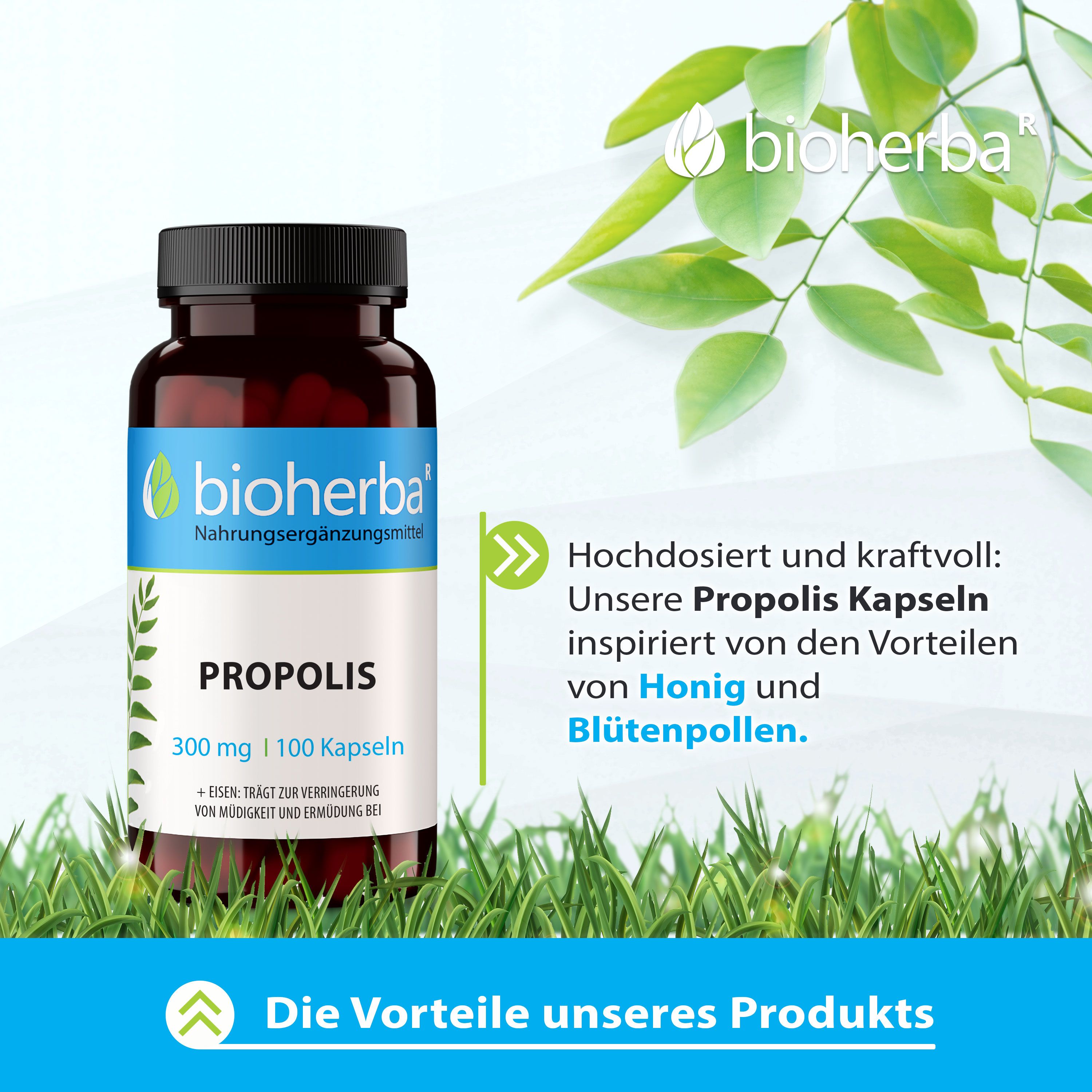 Bioherba Propolis Kapseln