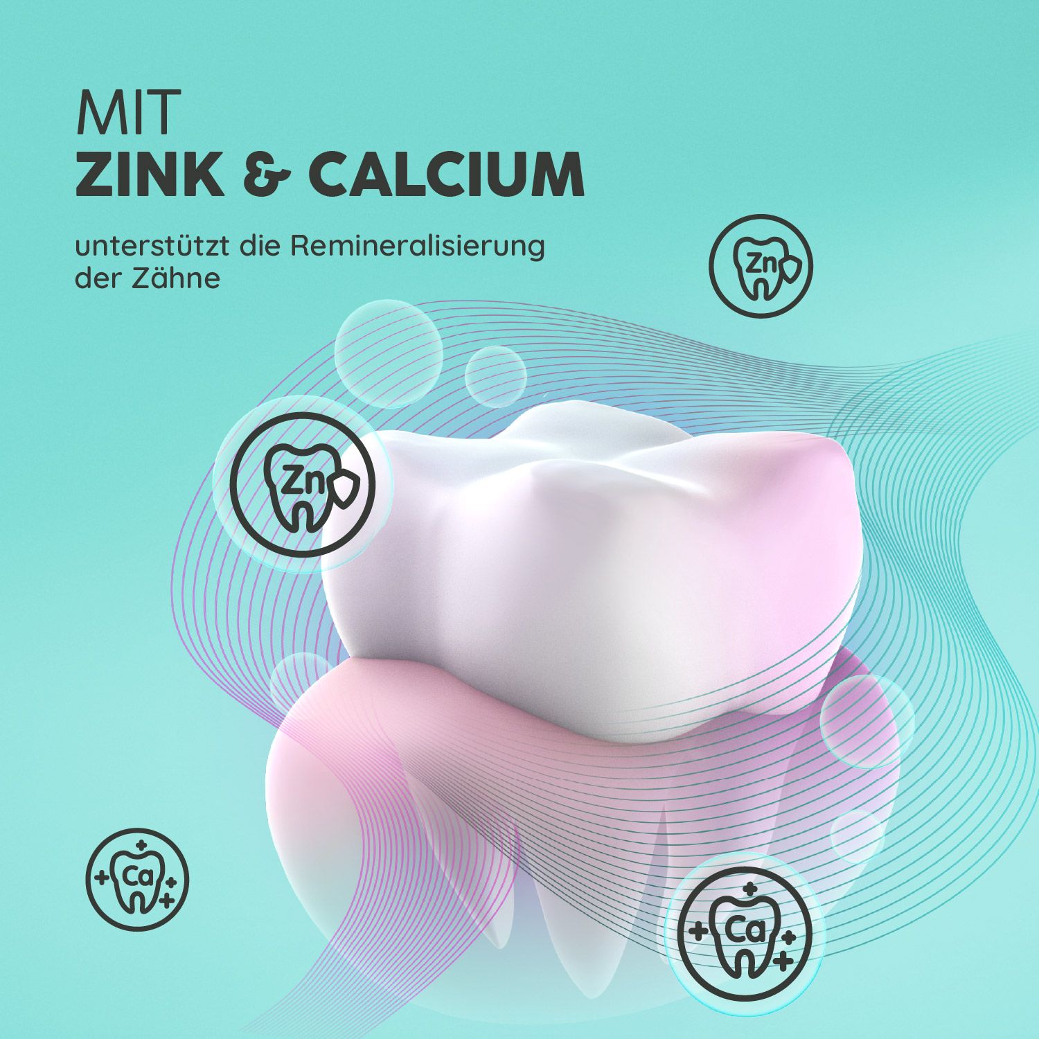 Zahnmodell mit Zink- und Calcium-Symbolen. Text: unterstützt die Remineralisierung der Zähne.