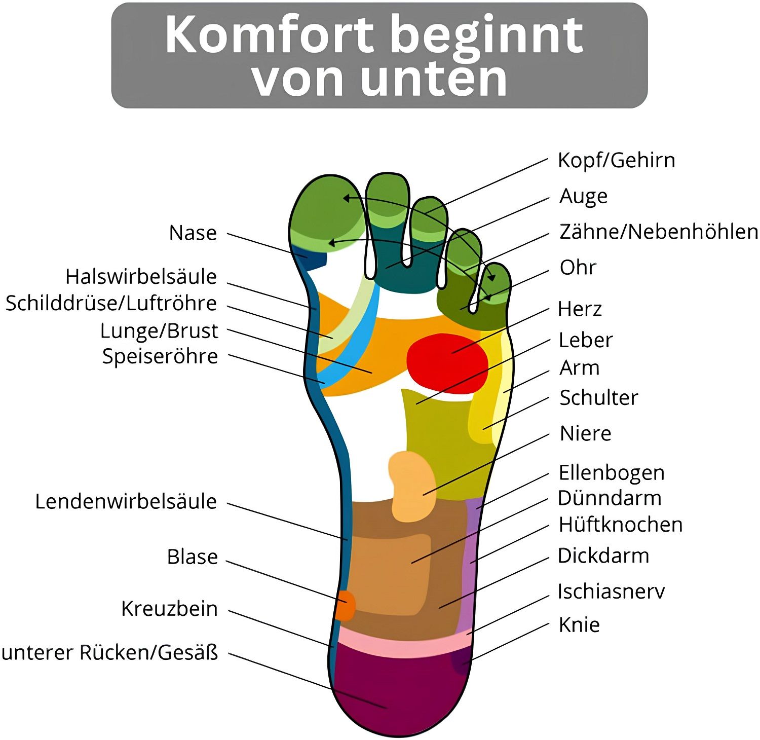 COOL-i Magnetische Akupressur,Einlegesohlen,Fußreflexzonen,Massage für Alltag und Freizeit