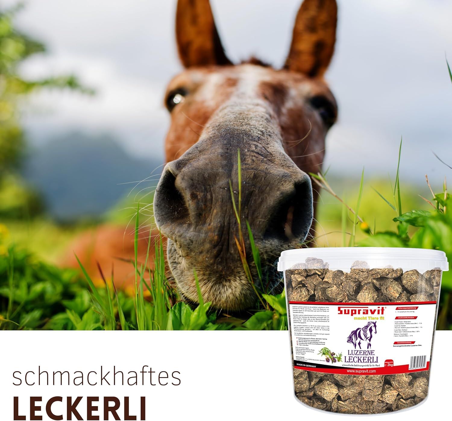 Eimer mit Supravit Luzerne Leckerli neben einem Pferd. Text: Schmackhaftes Leckerli.