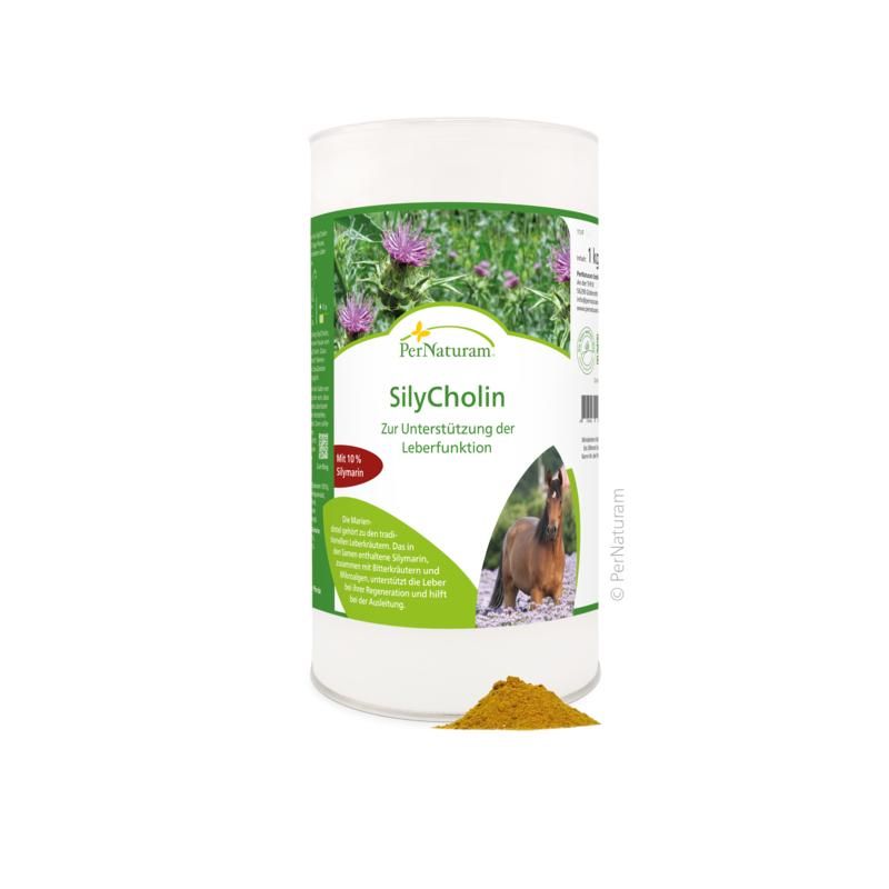 PerNaturam SilyCholin 1 kg Pulver