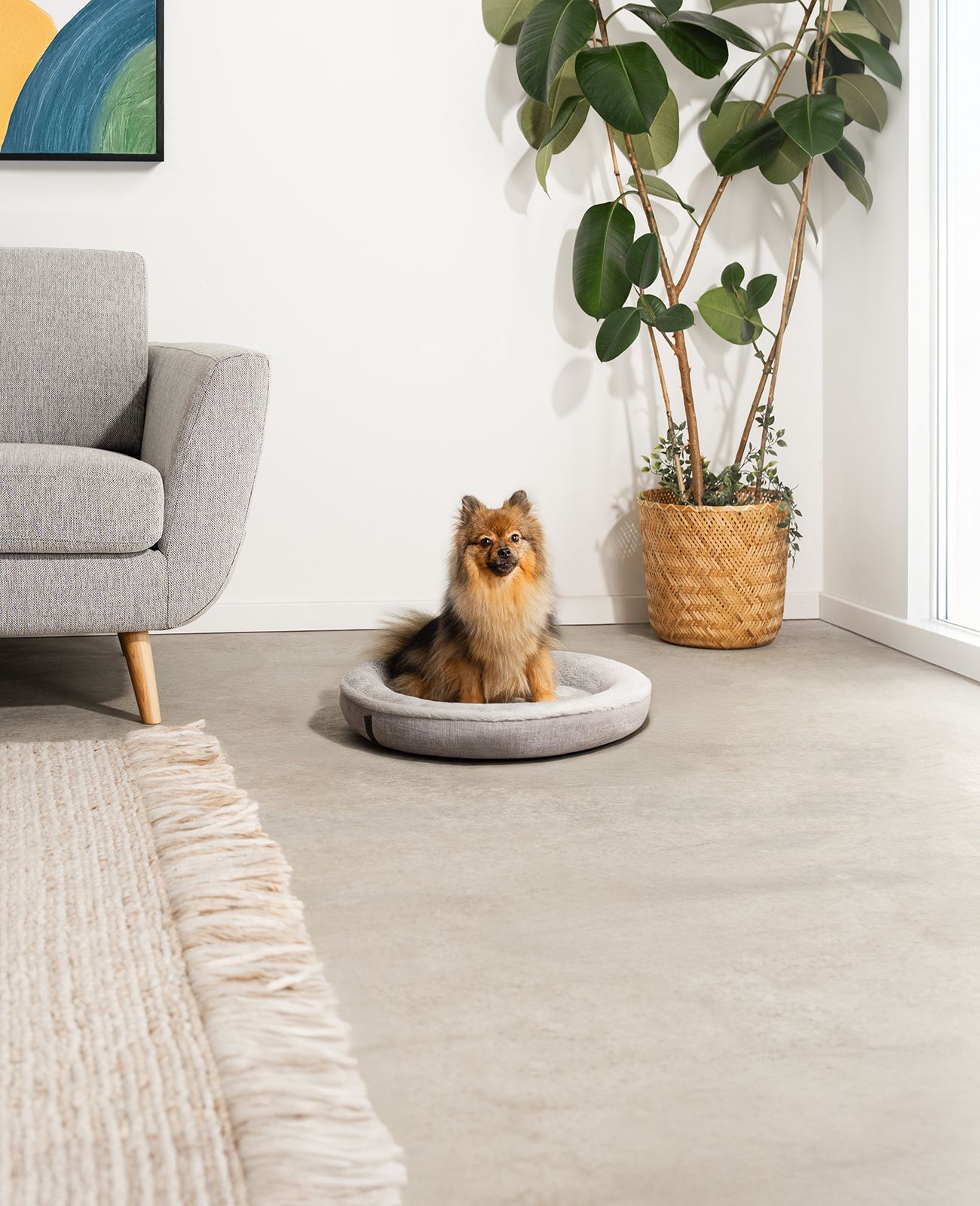 lionto Rundes Hundebett - Donutbed